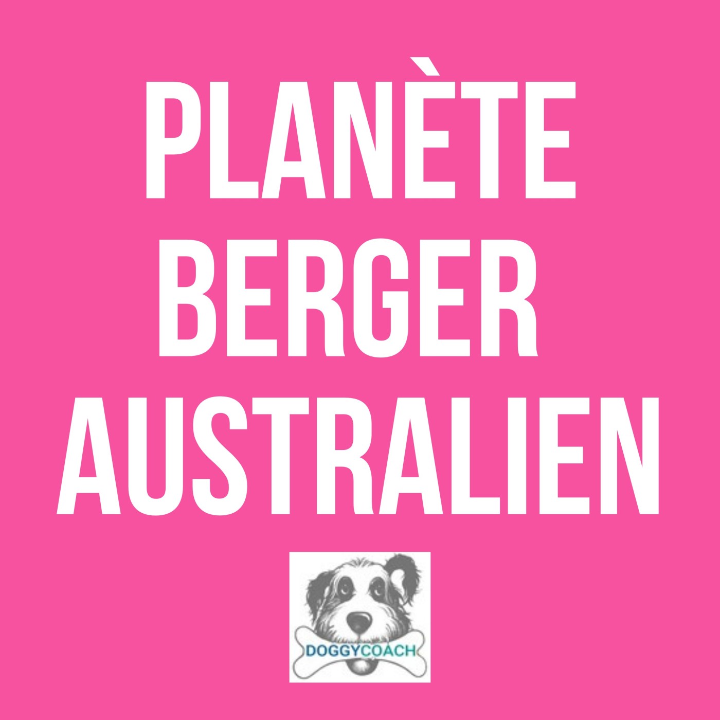 Planète Berger Australien 