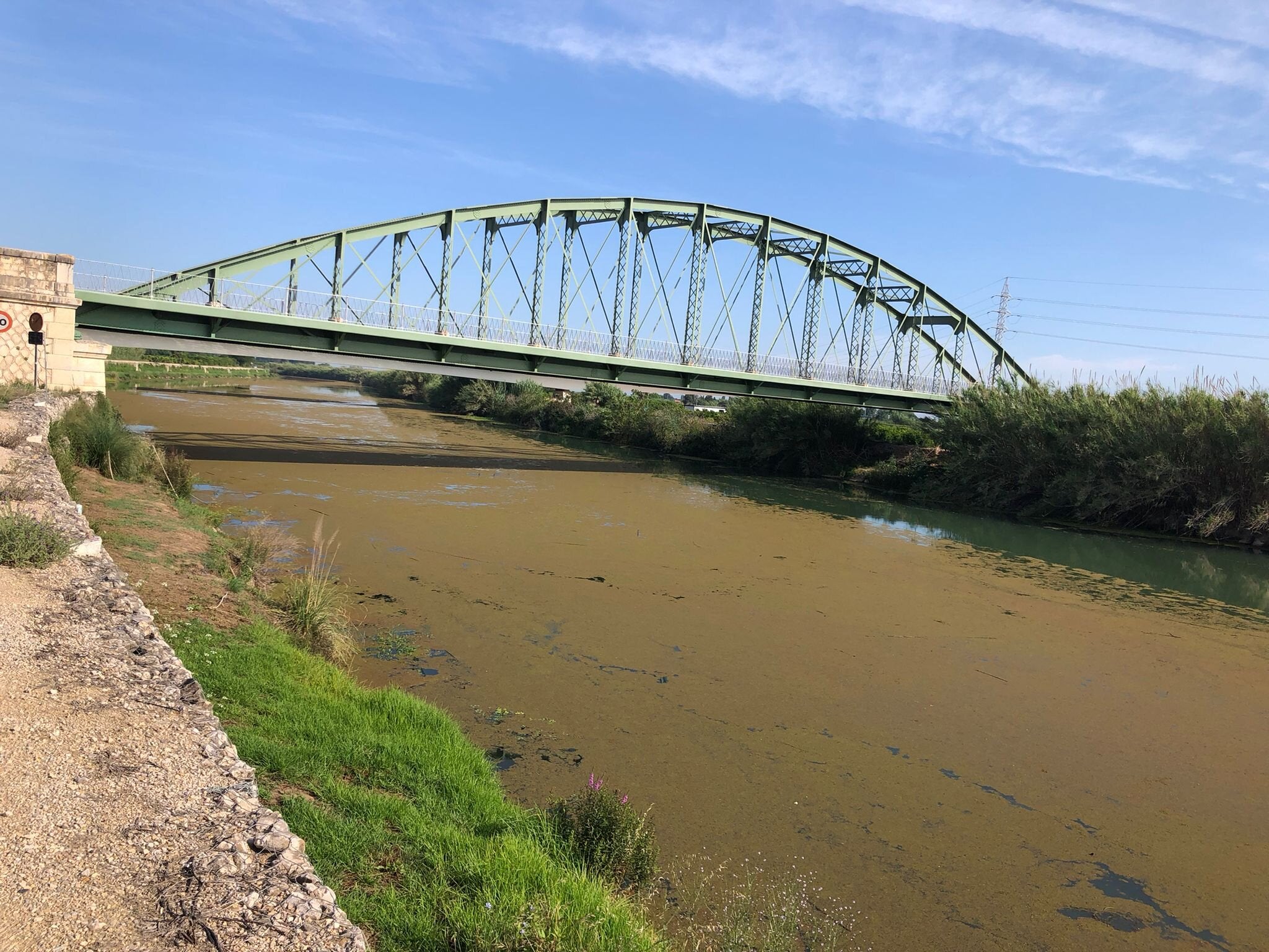 El río Júcar presenta un preocupante estado en su tramo final desde Fortaleny