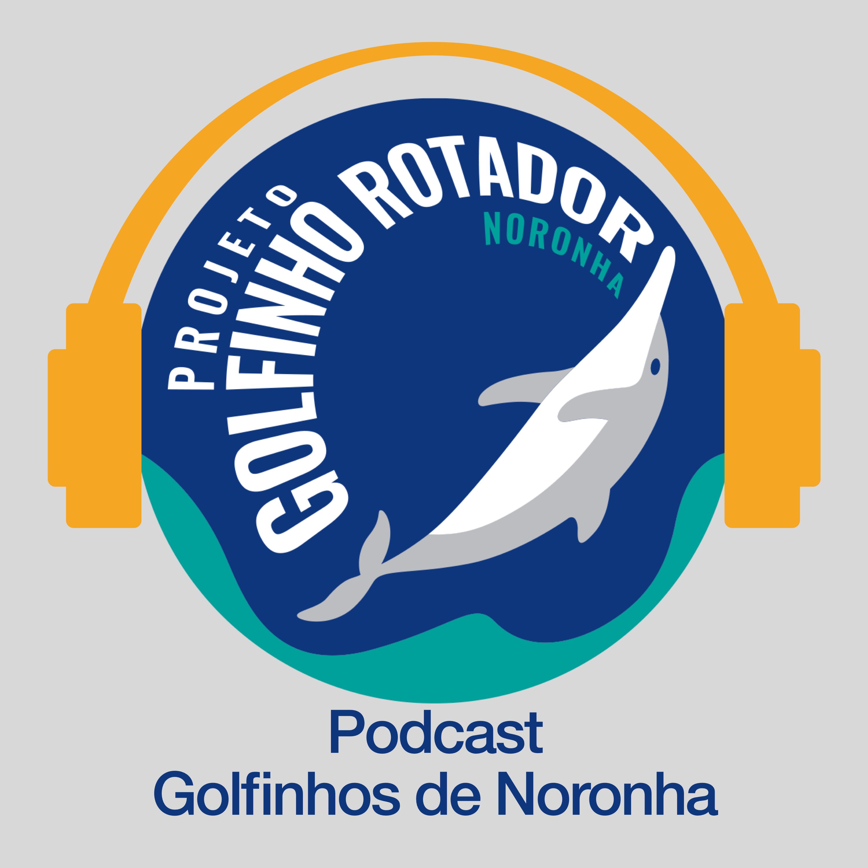 Golfinhos de Noronha 