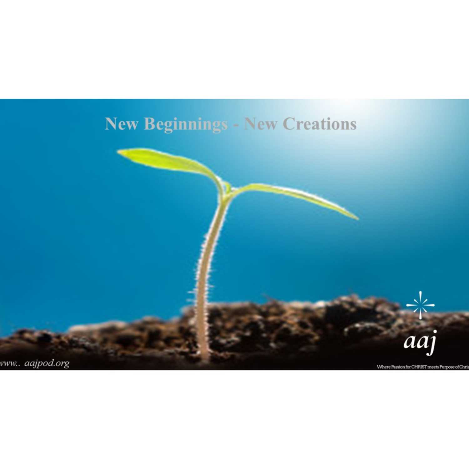 New Beginnings - New Creations