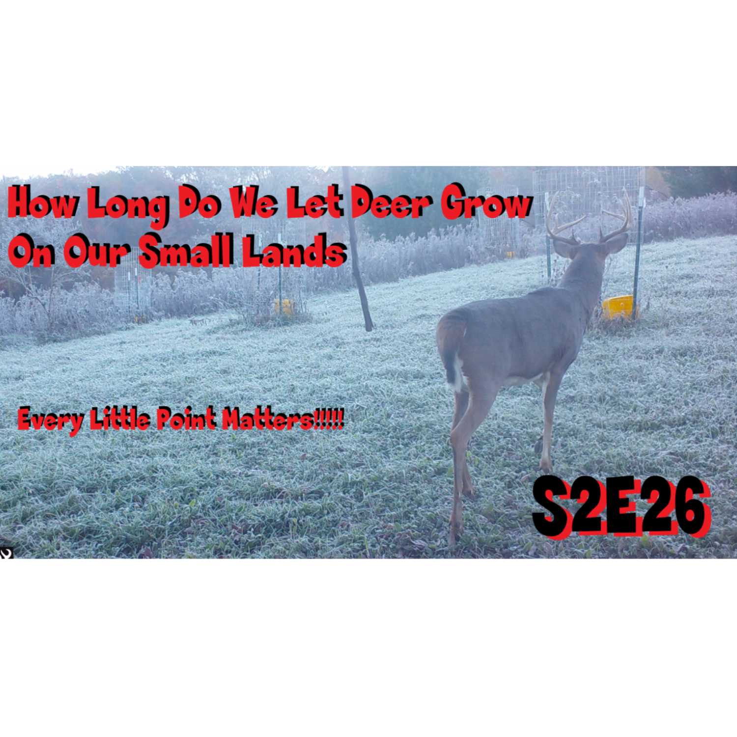 How long do you let deer grow on small properties s2e26