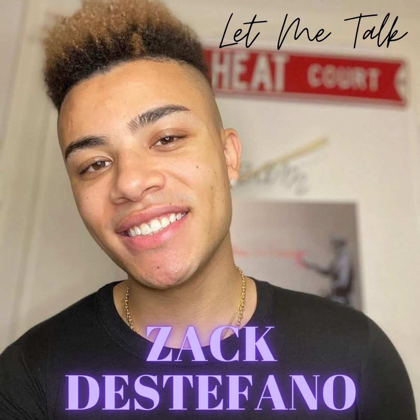 Let Me Talk - Zack DeStefano