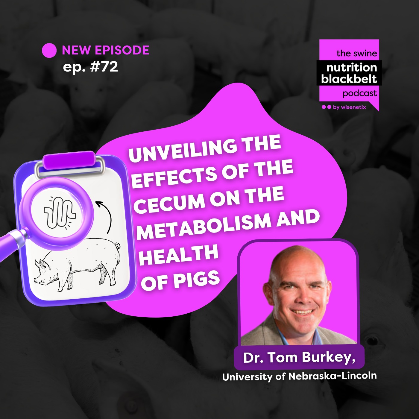 #72 - Unveiling the effects of the cecum on the metabolism and health of pigs - Dr. Tom Burkey