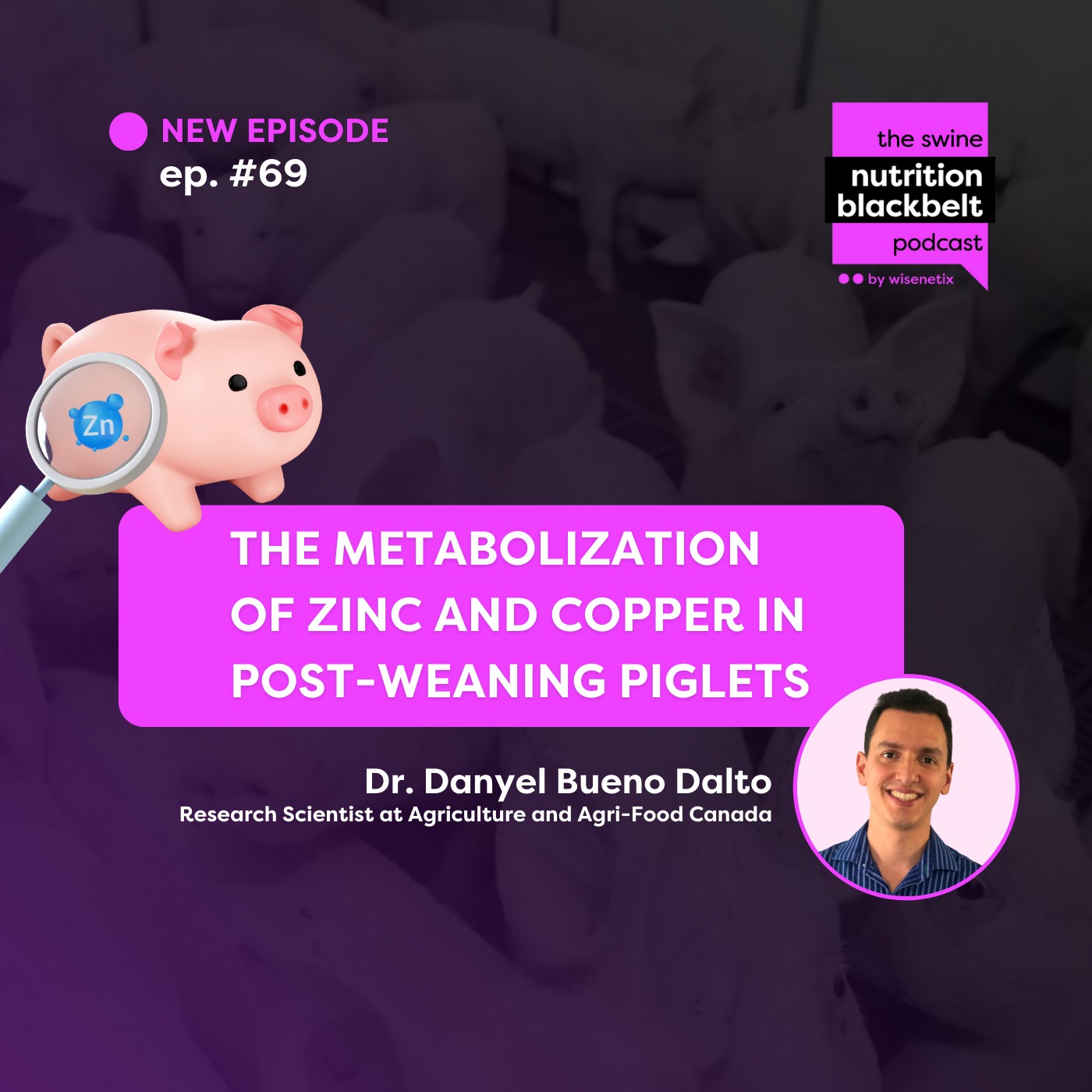 ⁣#69 - The metabolization of Zinc and Copper in Post-weaning Piglets - Dr. Danyel Bueno Dalto