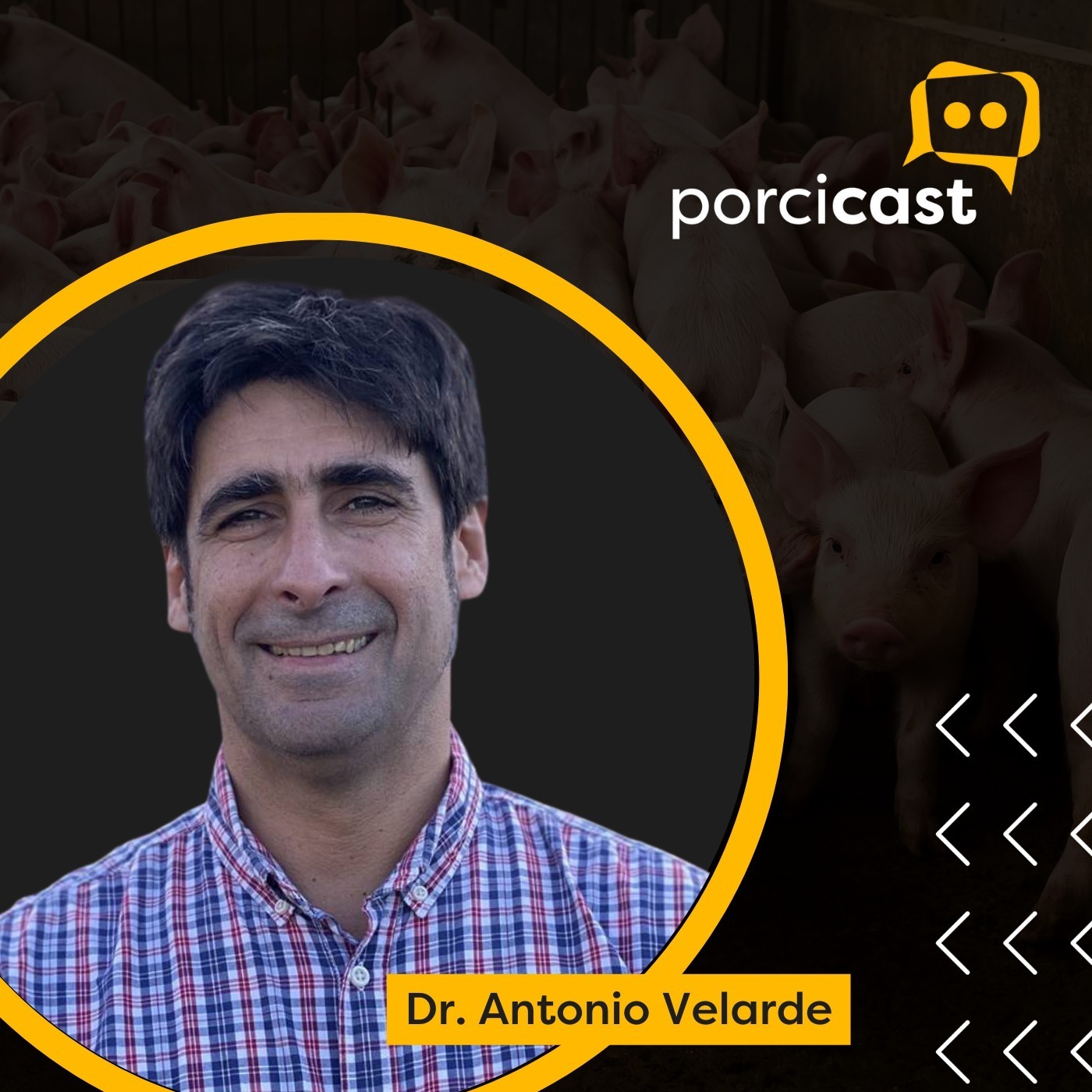 ⁣#01 - Bienestar en porcinos: buscando la objetividad - Dr. Antonio Velarde