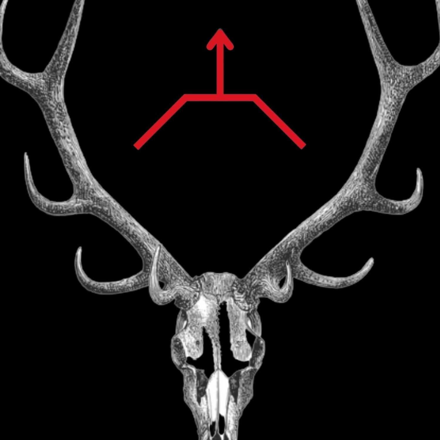 55 - Selous Dynamics