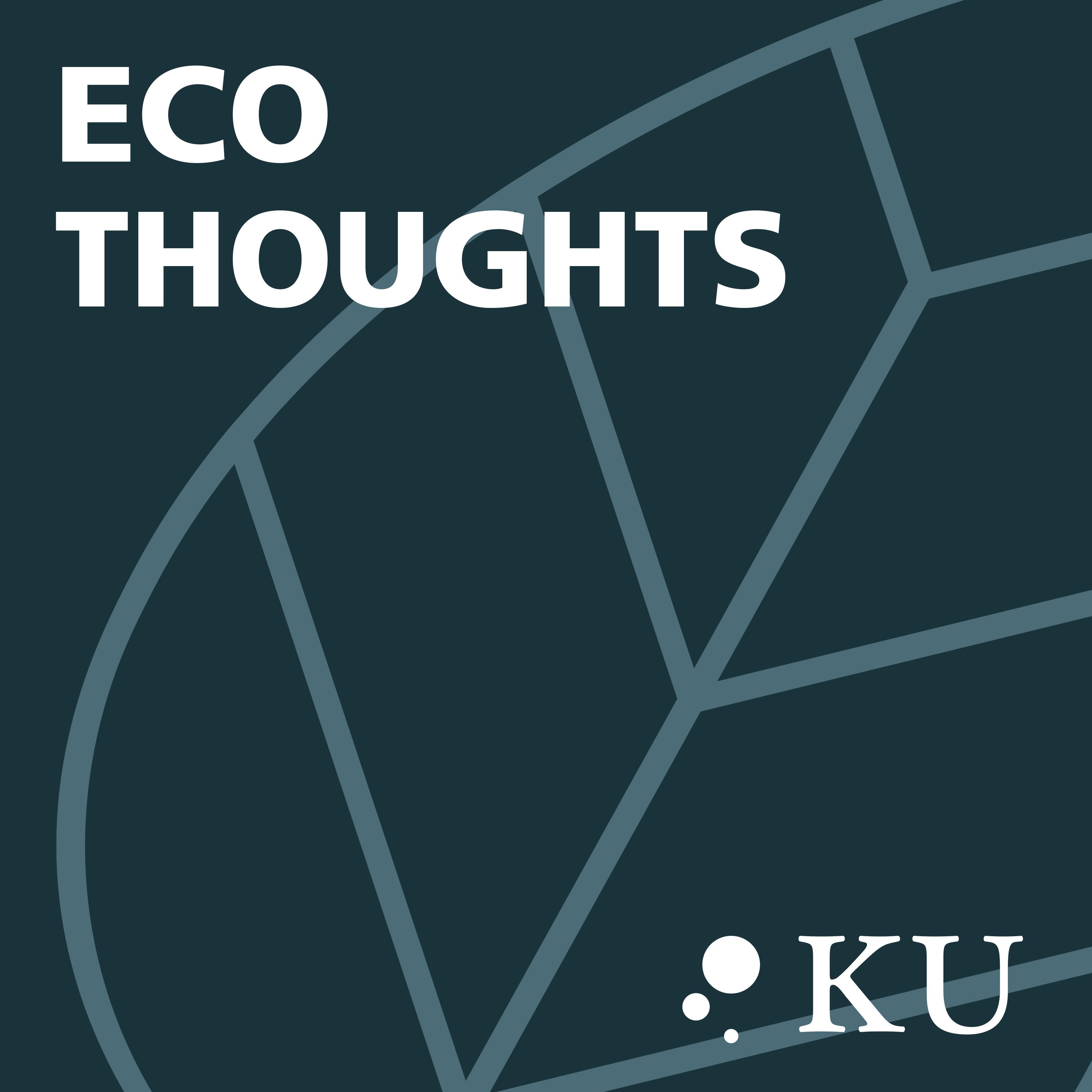 Eco Thoughts 