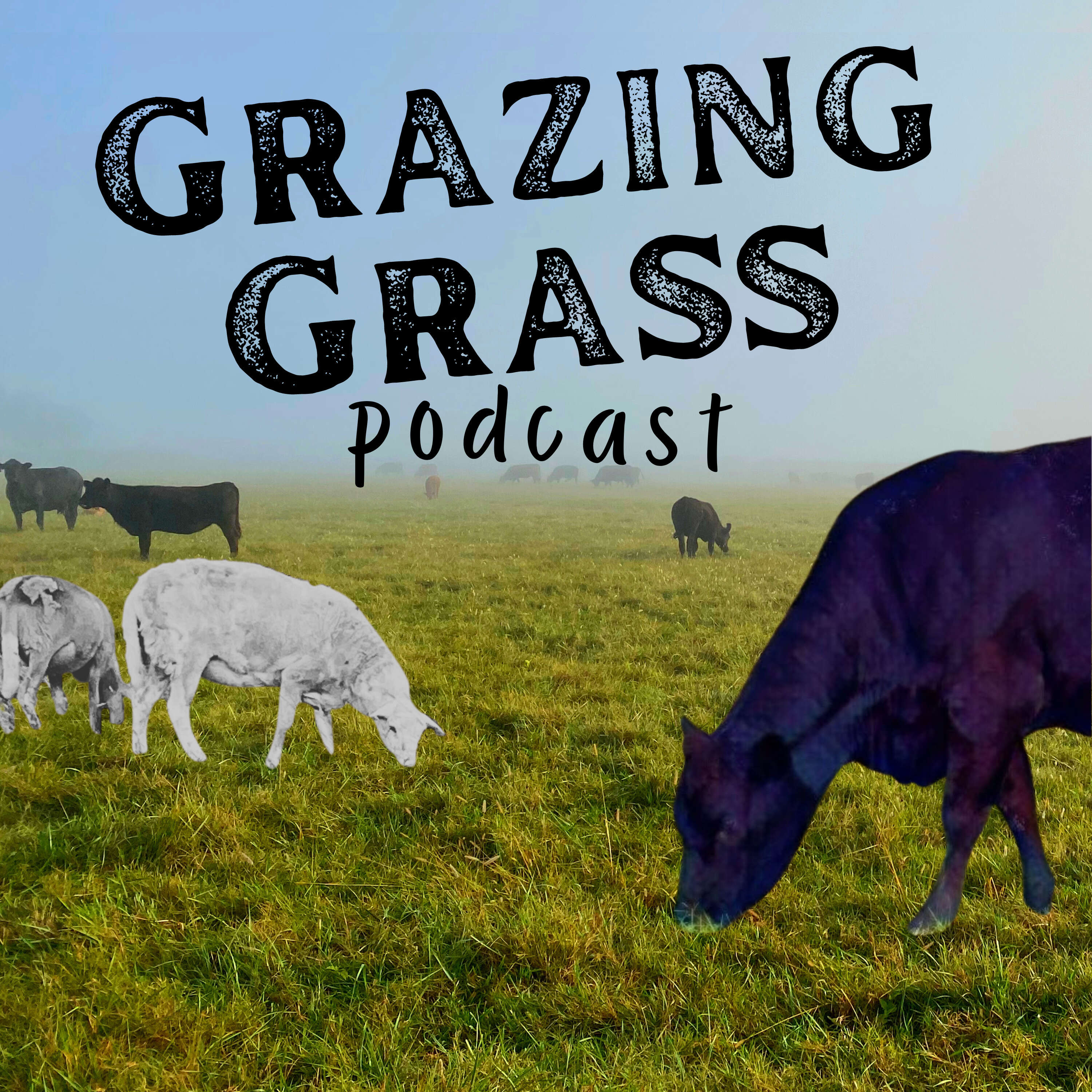 e61. From Sports Performance Coaching to Cattle Ranching with Clay Price