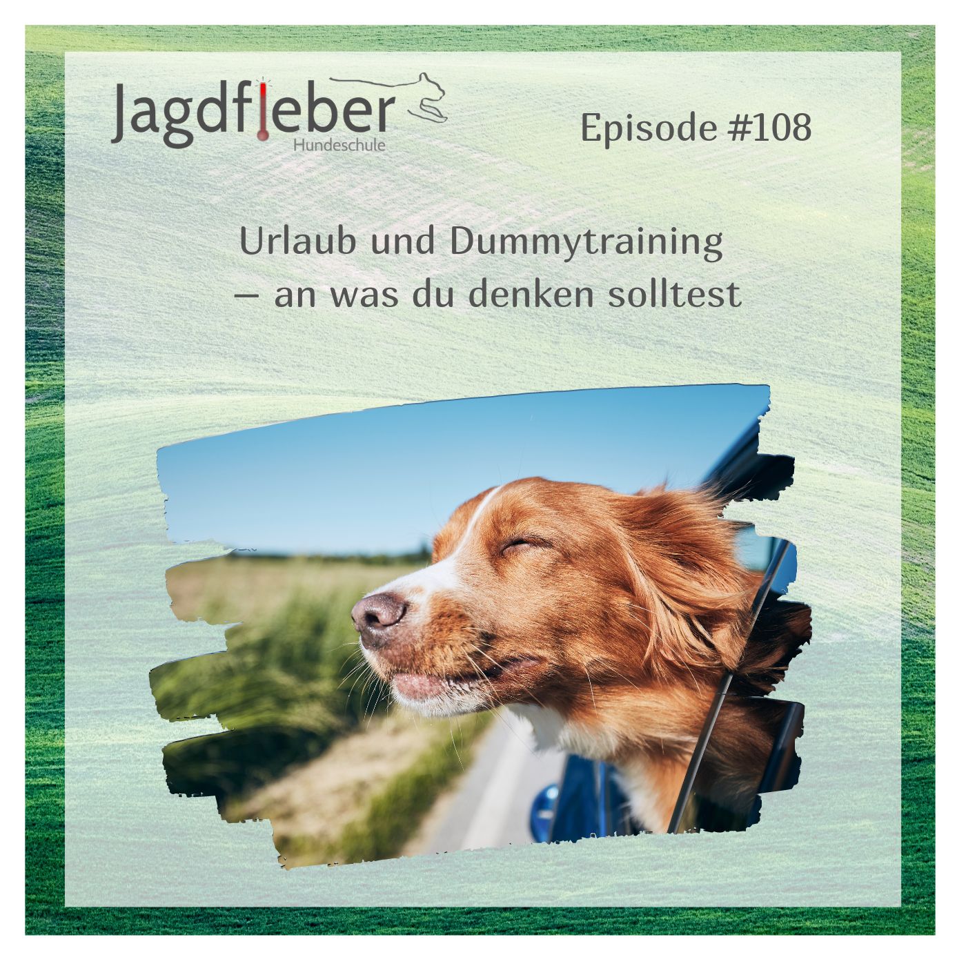 P108: Urlaub und Dummytraining – an was du denken solltest