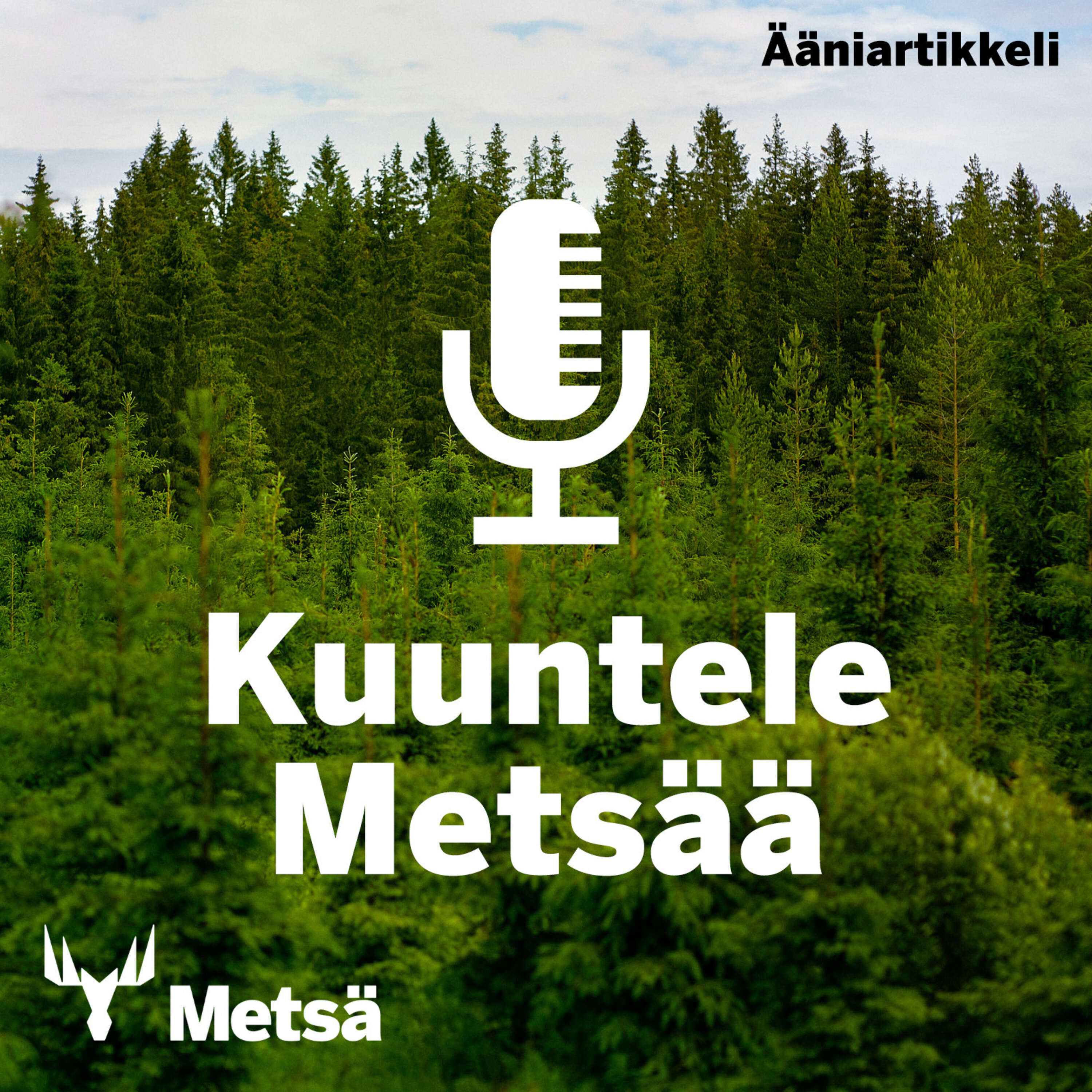 ⁣Ääniartikkeli: Uusi Metsä Group Plus -palvelu lisää metsien monimuotoisuutta