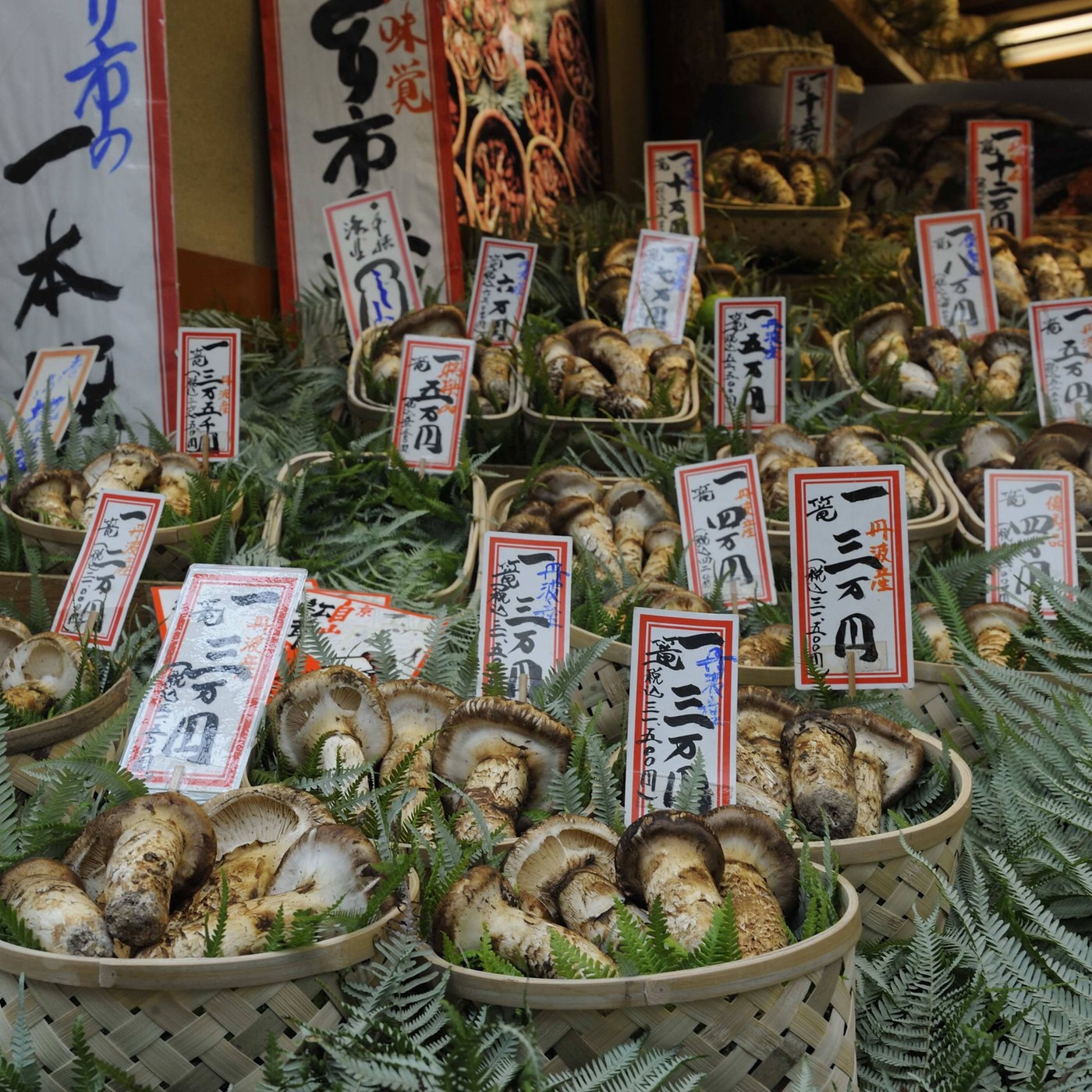 Matsutake