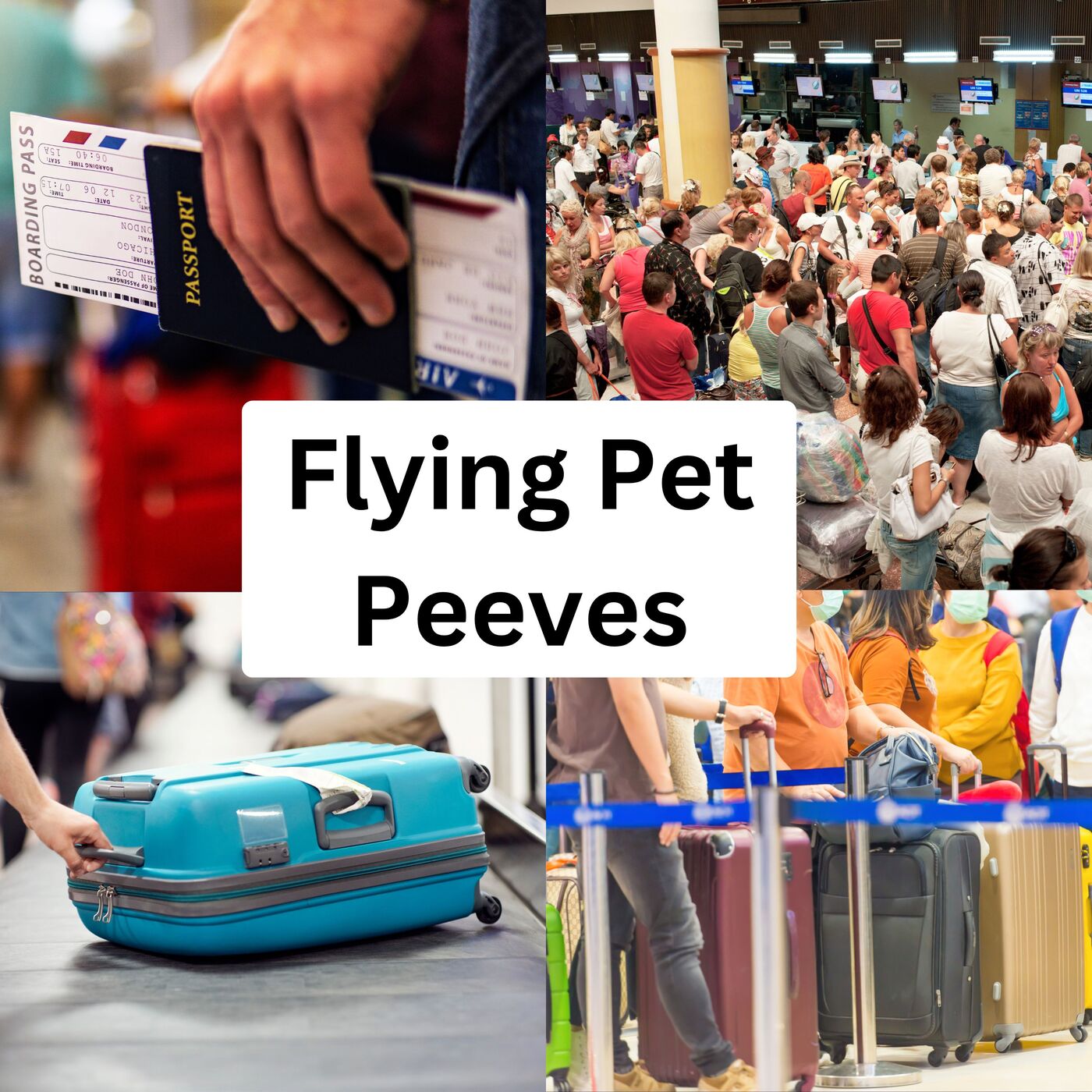 The Pet Peeves of Flying