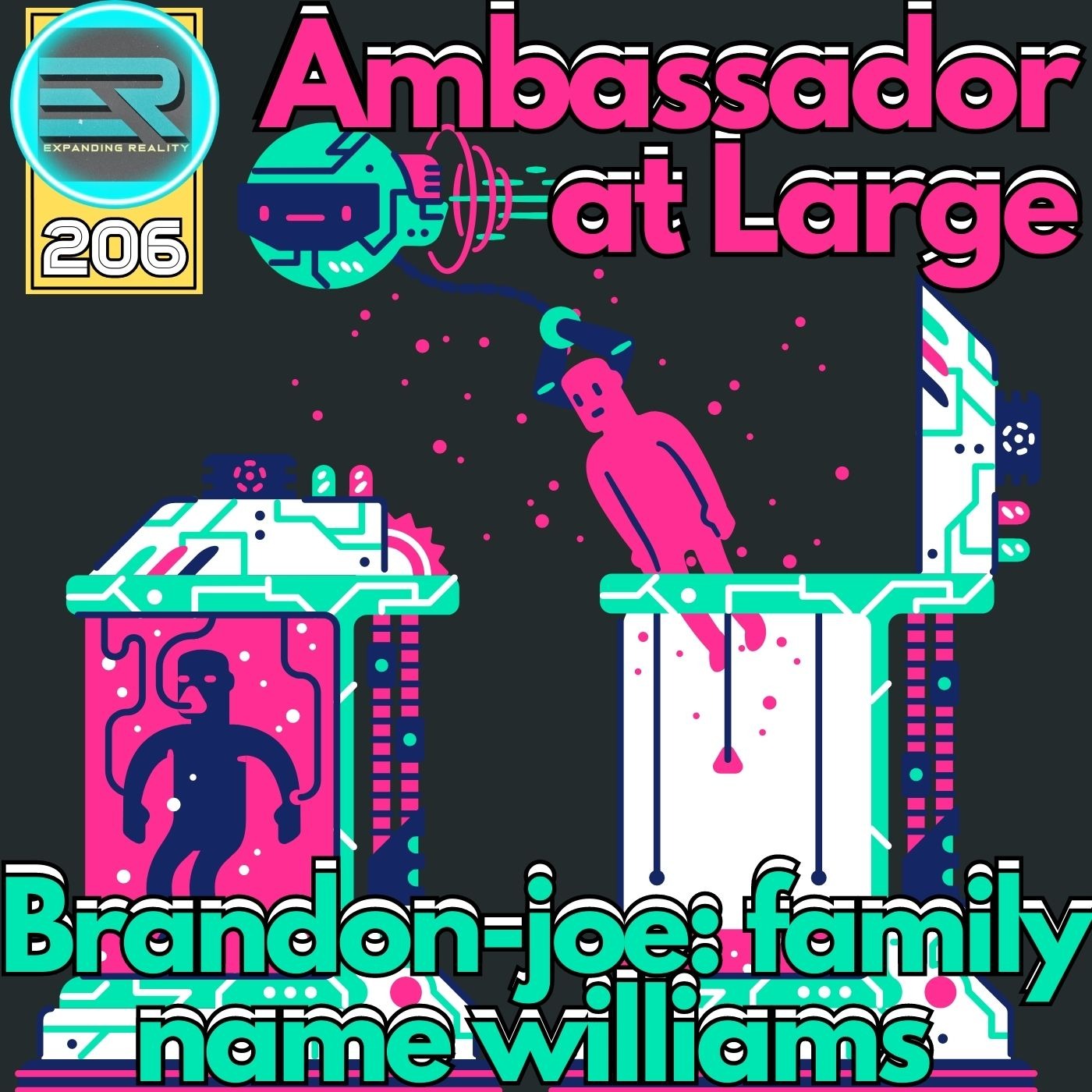 206.2  | Brandon Williams | Ambassador at Large part 2