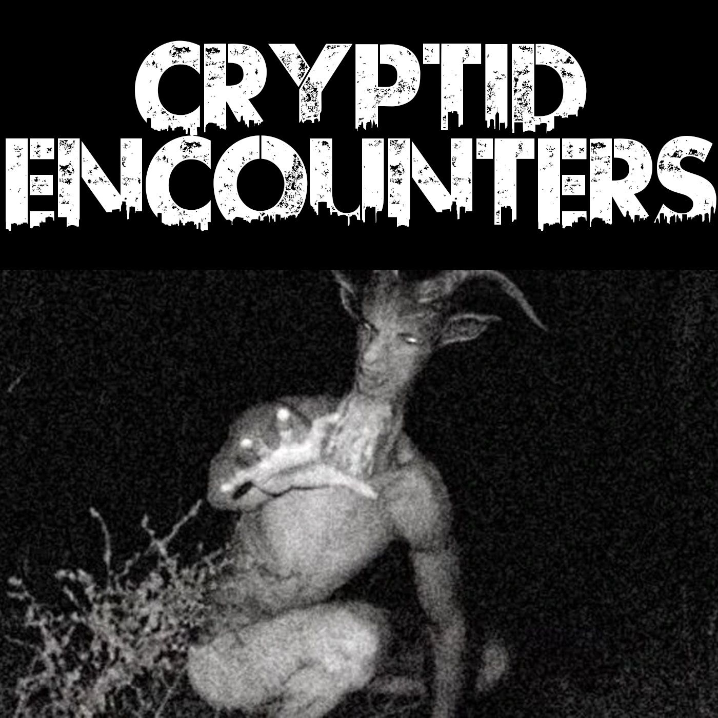 ⁣Cryptid Encounters