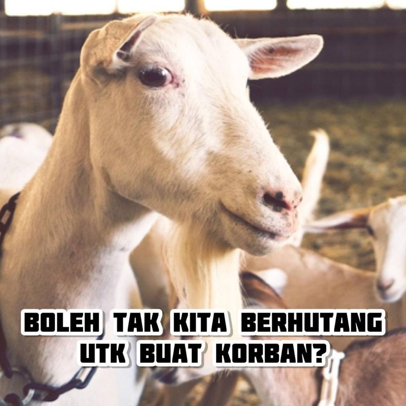 ⁣NJU E454: Boleh tak kita berhutang utk buat korban?