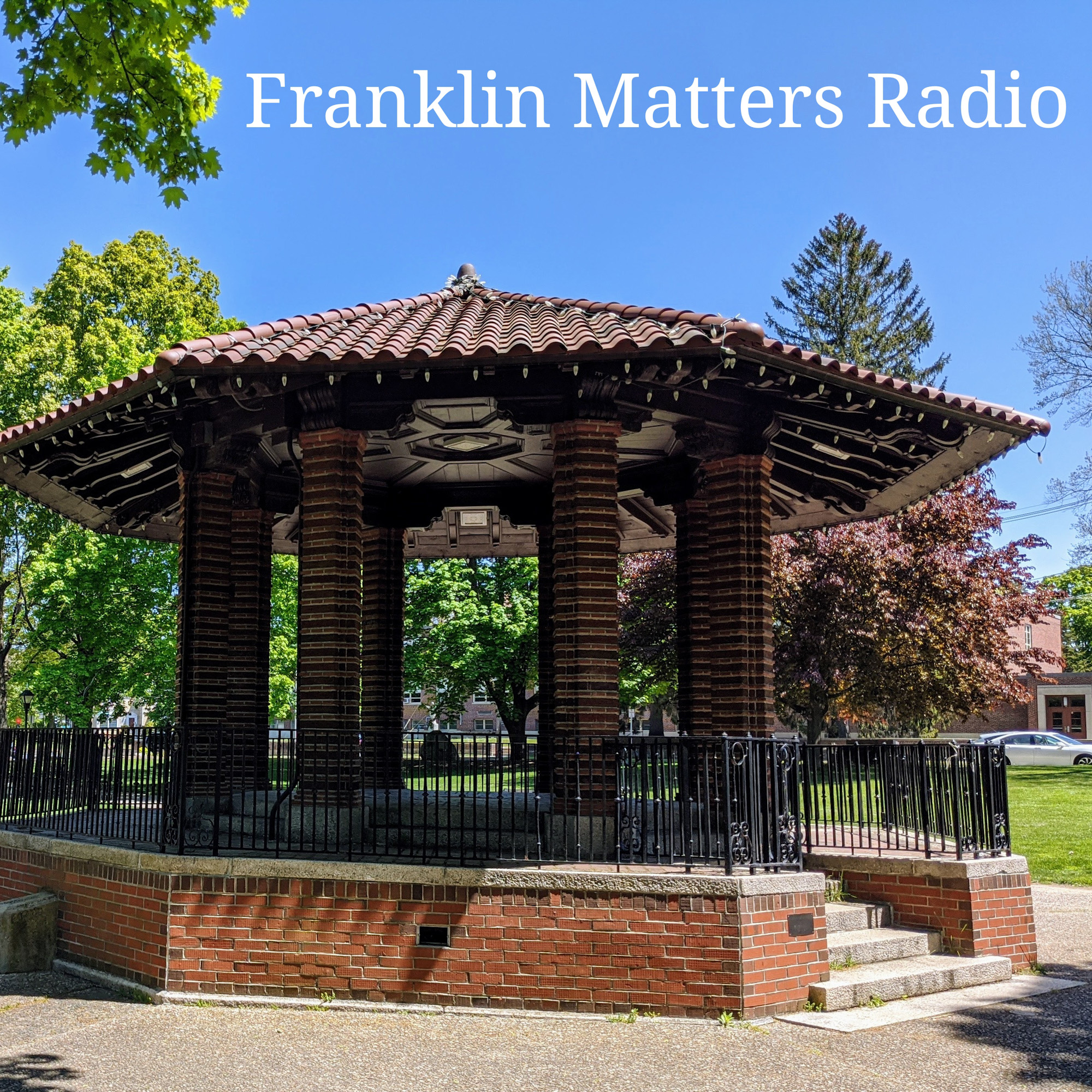 FM #1014 - Franklin For All #8 - New Growth - 06/05/23