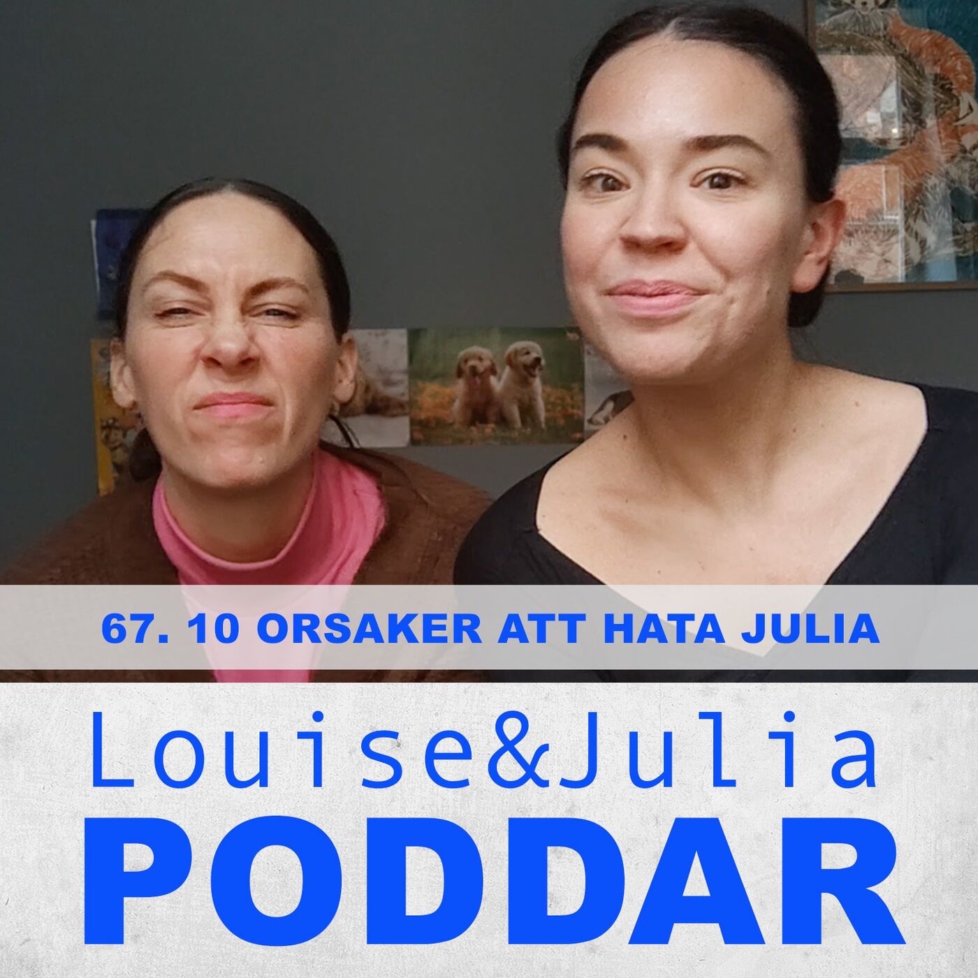 67. Tio orsaker att hata Julia