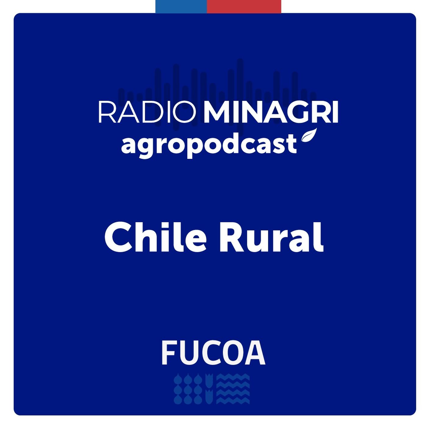 ⁣Chile Rural - Episodio 156: Ministro Valenzuela entrevista al ministro de Economía, Nicolás Grau