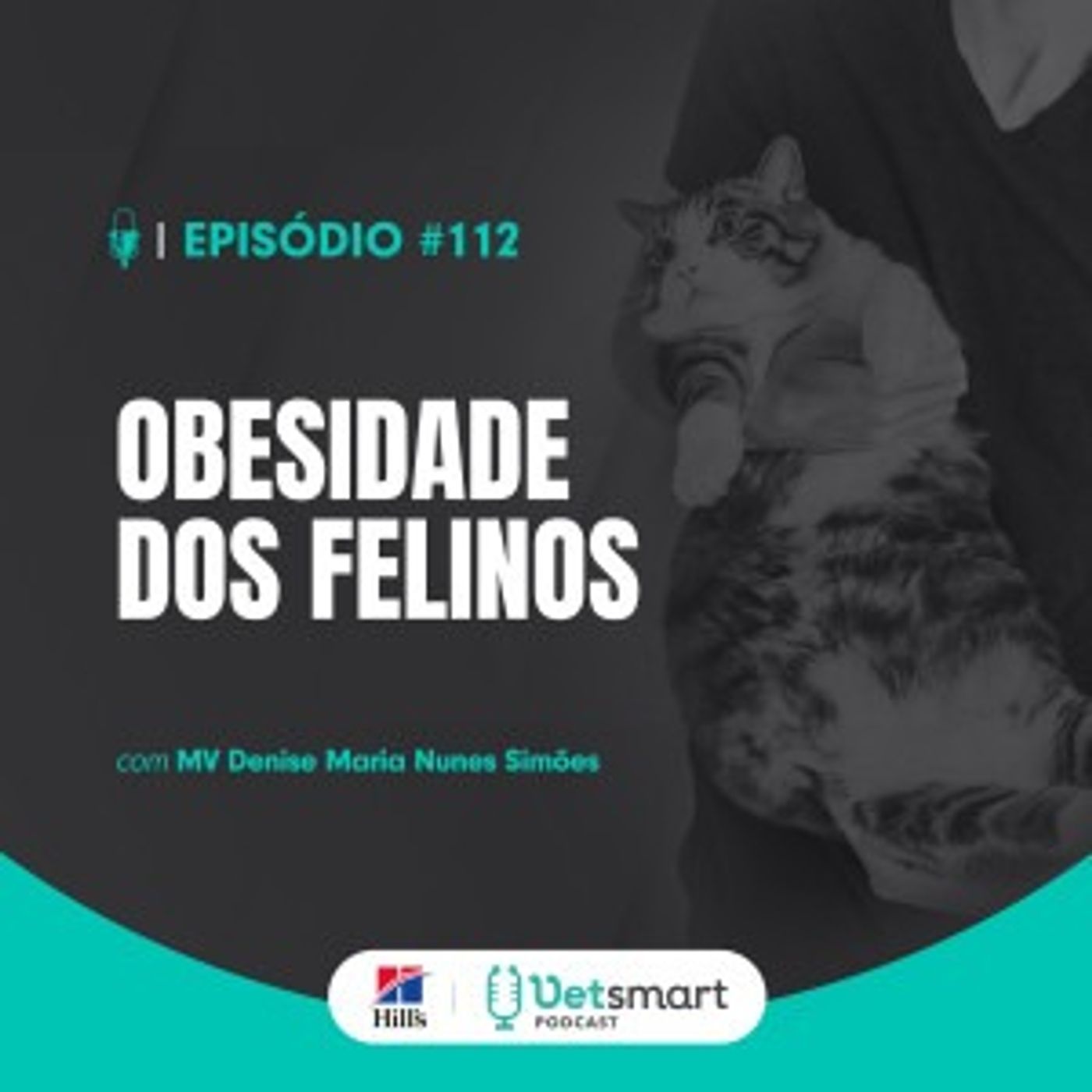 A obesidade dos felinos