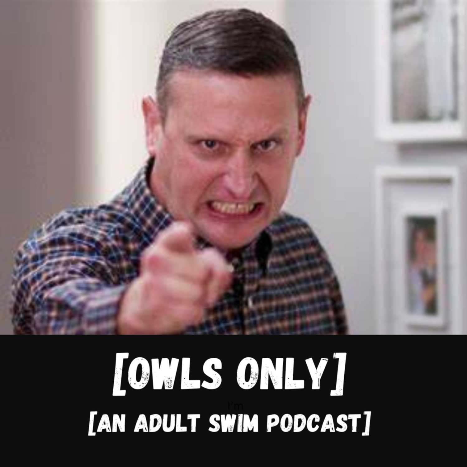 Summer TV Special - Owls Only: An Adult Swim Podcast