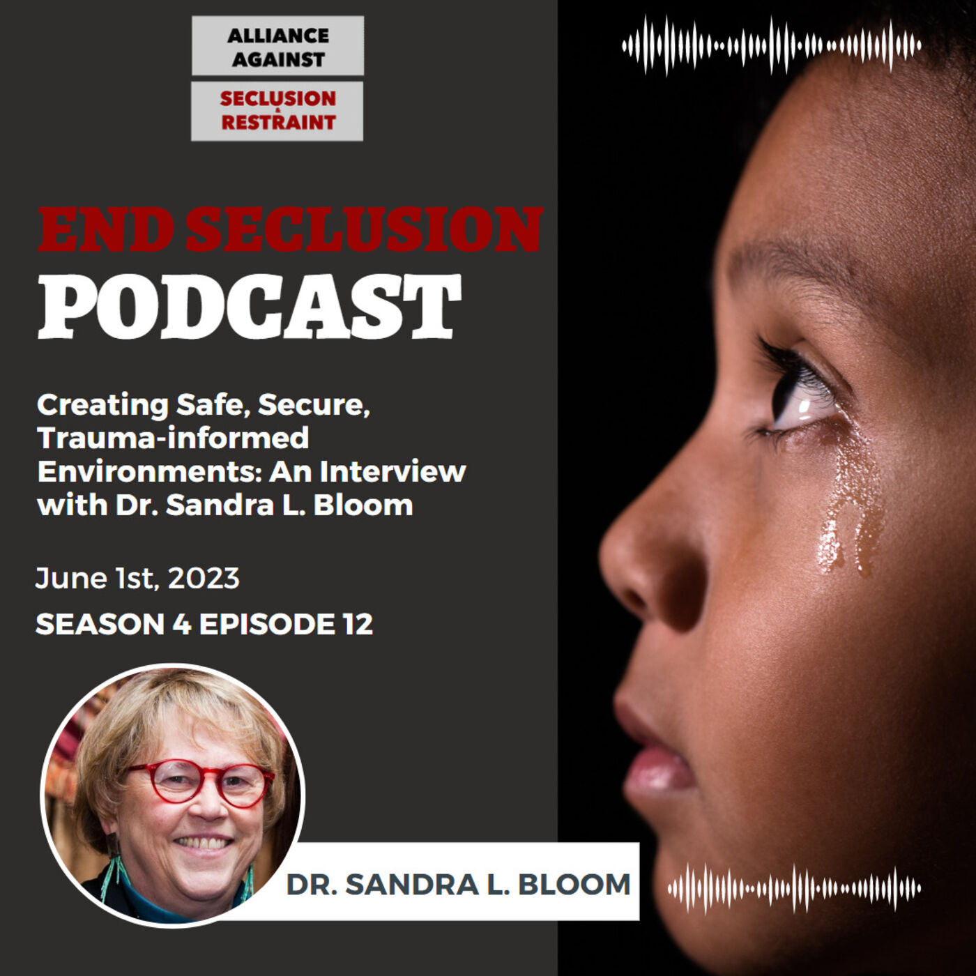 Creating Safe, Secure, Trauma-informed Environments: An Interview with Dr. Sandra L. Bloom