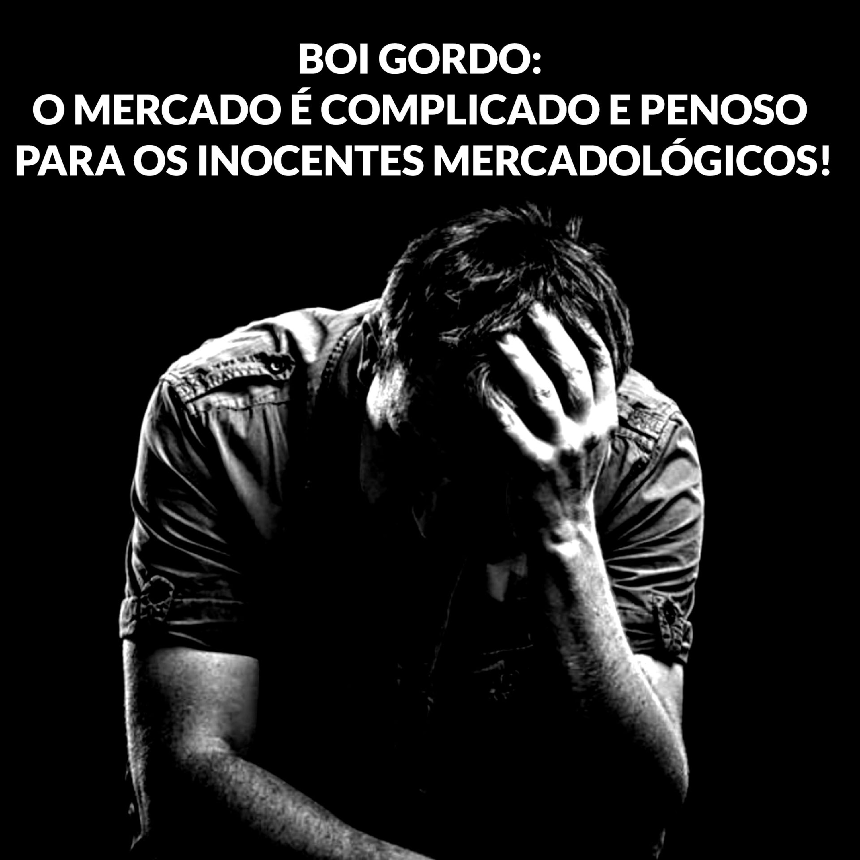 ⁣BOI GORDO: O MERCADO É COMPLICADO E PENOSO PARA OS INOCENTES MERCADOLÓGICOS!