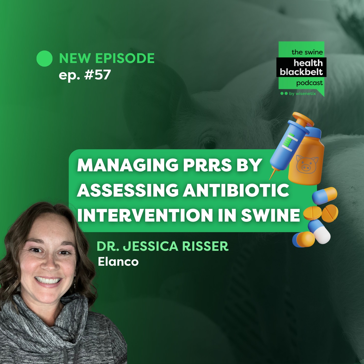 #57 - Managing PRRS by Assessing Antibiotic Intervention in Swine - Dr. Jessica Risser