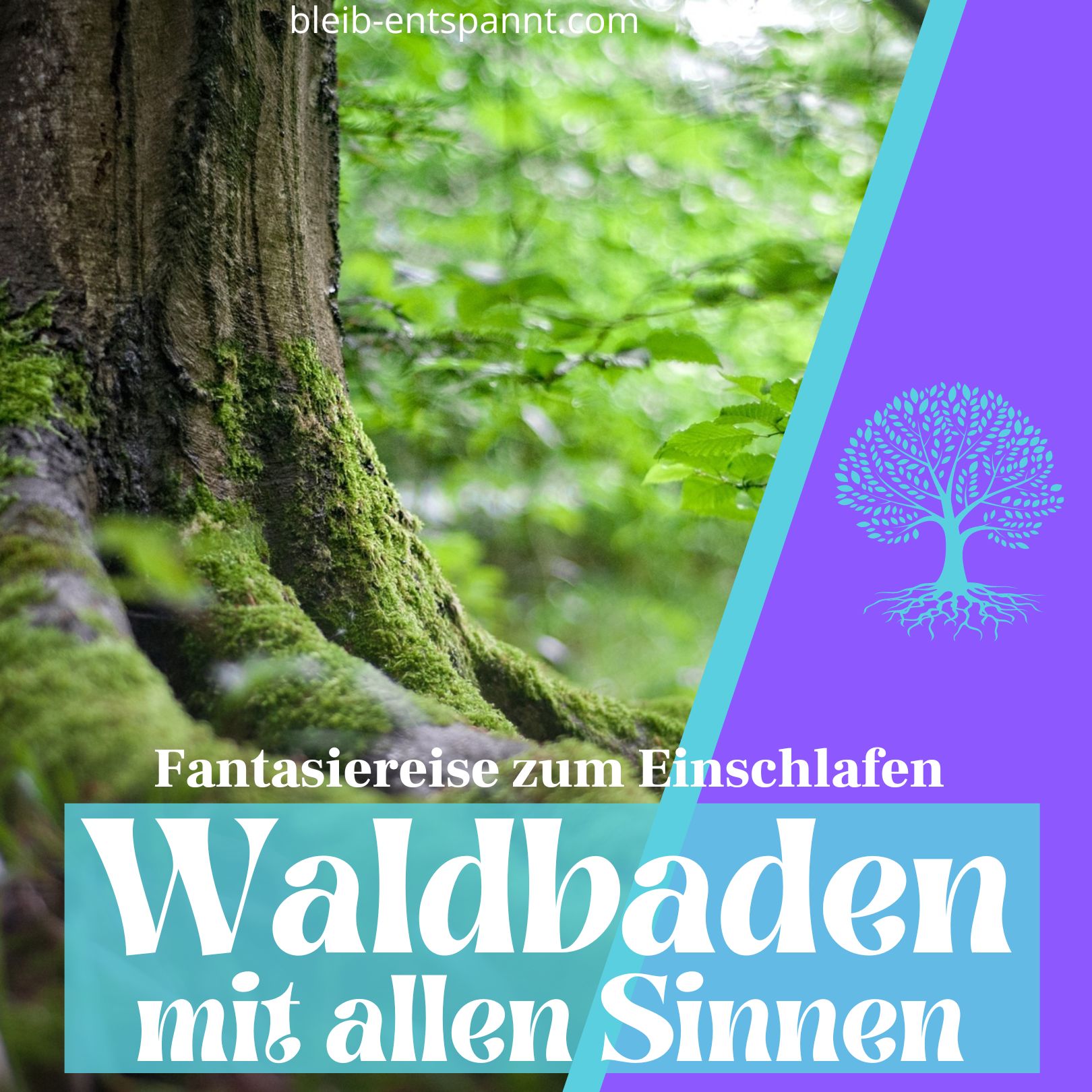 Fantasiereise zum Einschlafen für Erwachsene - Waldbaden mit allen Sinnen