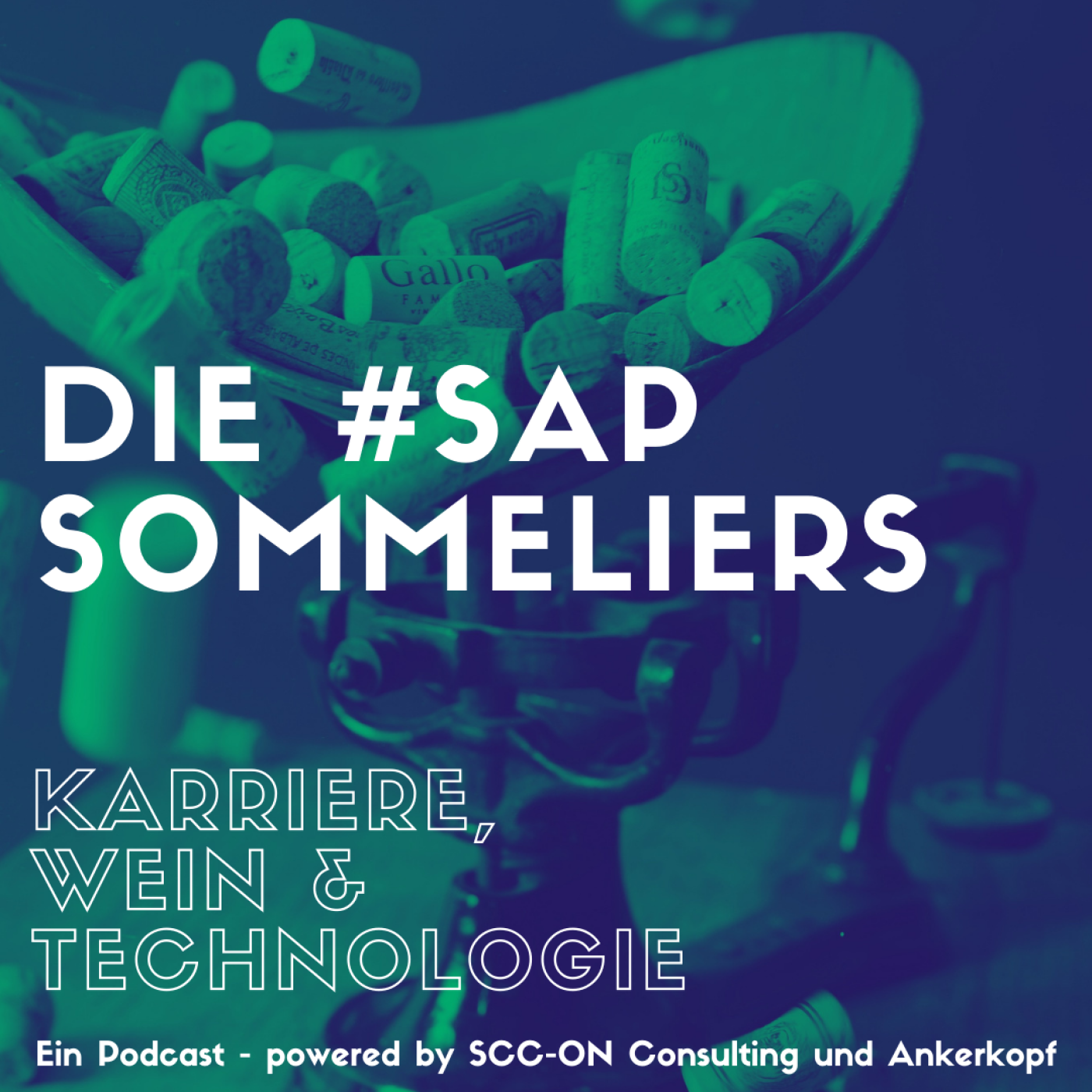 #41 Gamechanger SAP BTP? Stephan Thies zeigt uns warum sich jeder damit befassen sollte