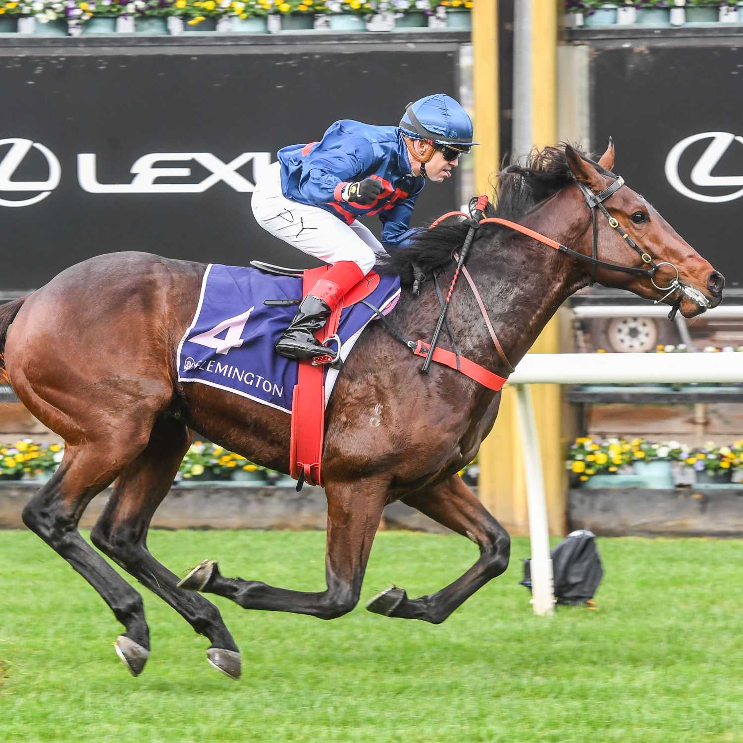 Flemington Winter Preview 