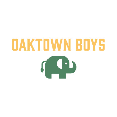 Less Than Perfect - Oaktown Boys