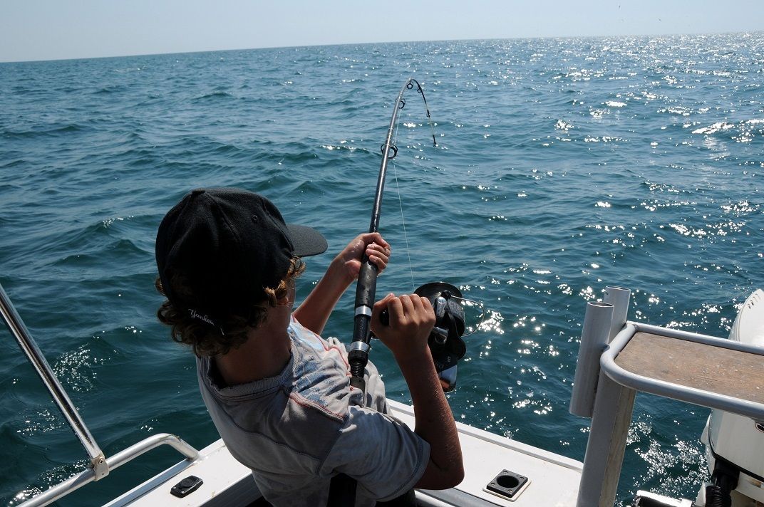 ⁣John MacKenzie chats with Allen Bobbermen, Cardwell-Based Commercial Fisherman, about how his livelihood will be impacted when the Queensland government phase out gillnets completely and limit the catch for Spanish Mackerel.