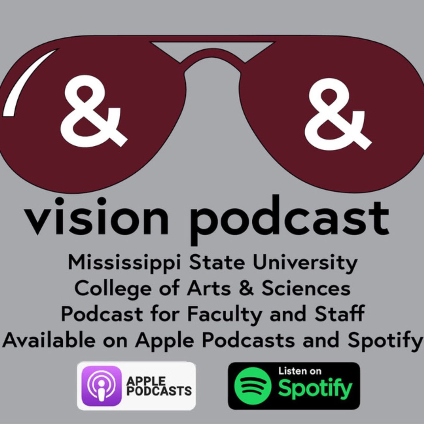 Vision Podcast Episode 52 - Dr. Ty Stafford and LGBTQ community, safe zones