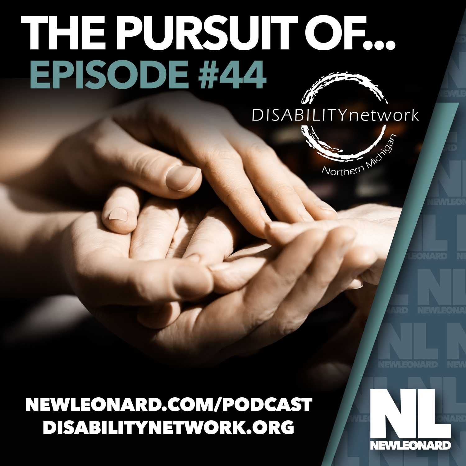 The Pursuit Of Disability Network Northern Michigan