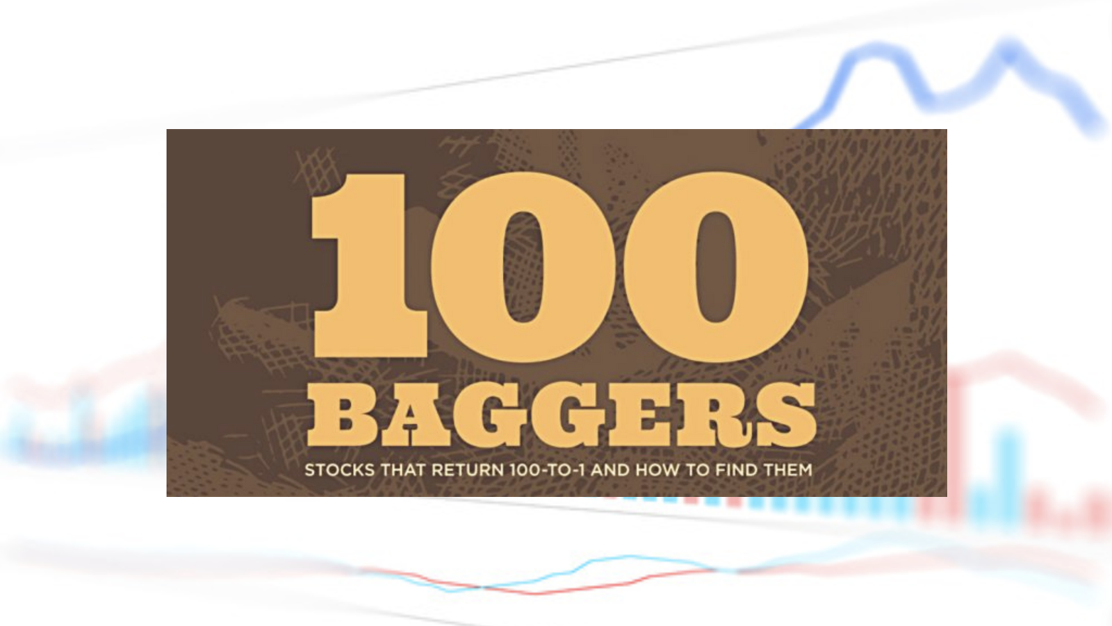 100 Baggers: Stocks That Return 100-to-1 and How To Find Them by Christopher Mayer