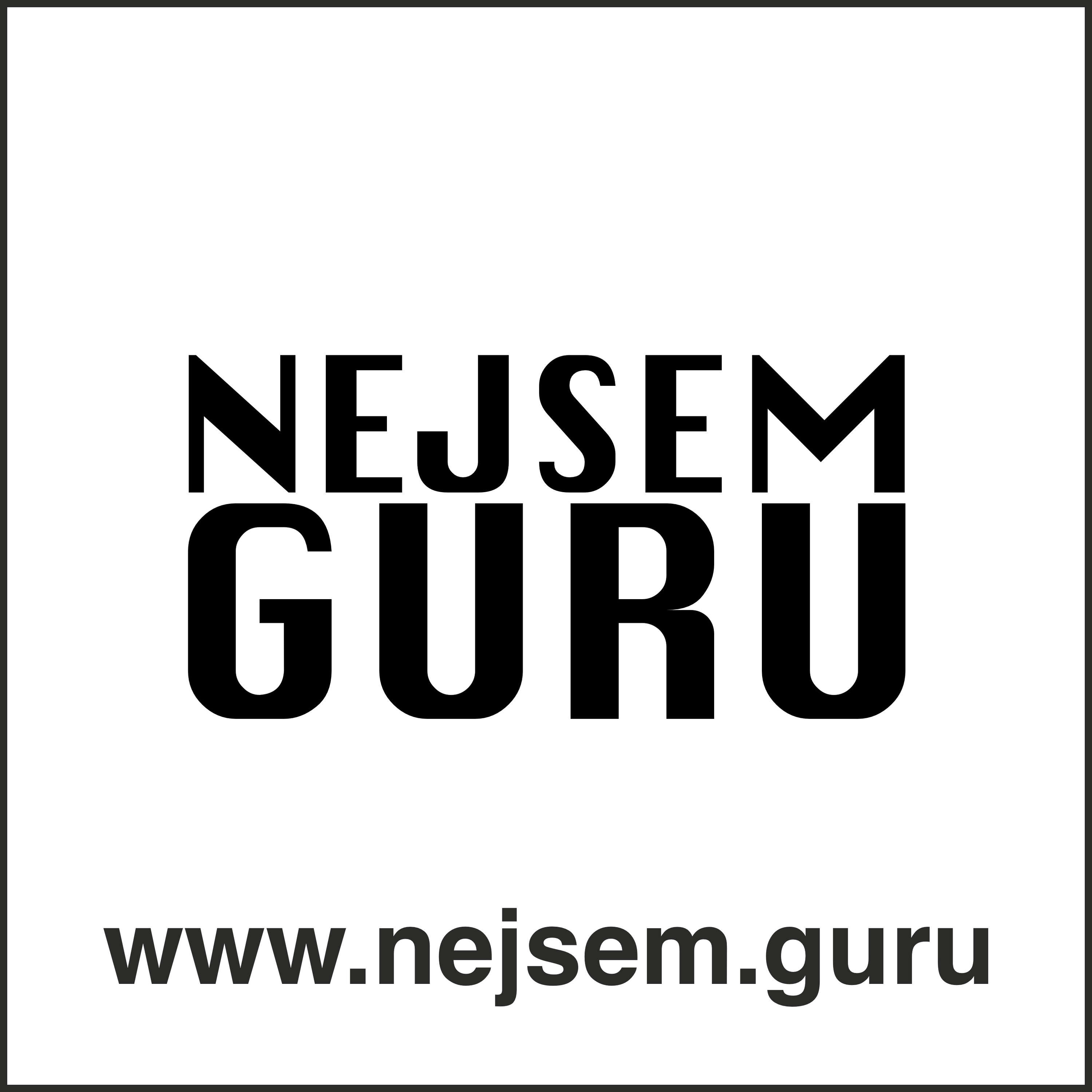 Nejsem Guru 