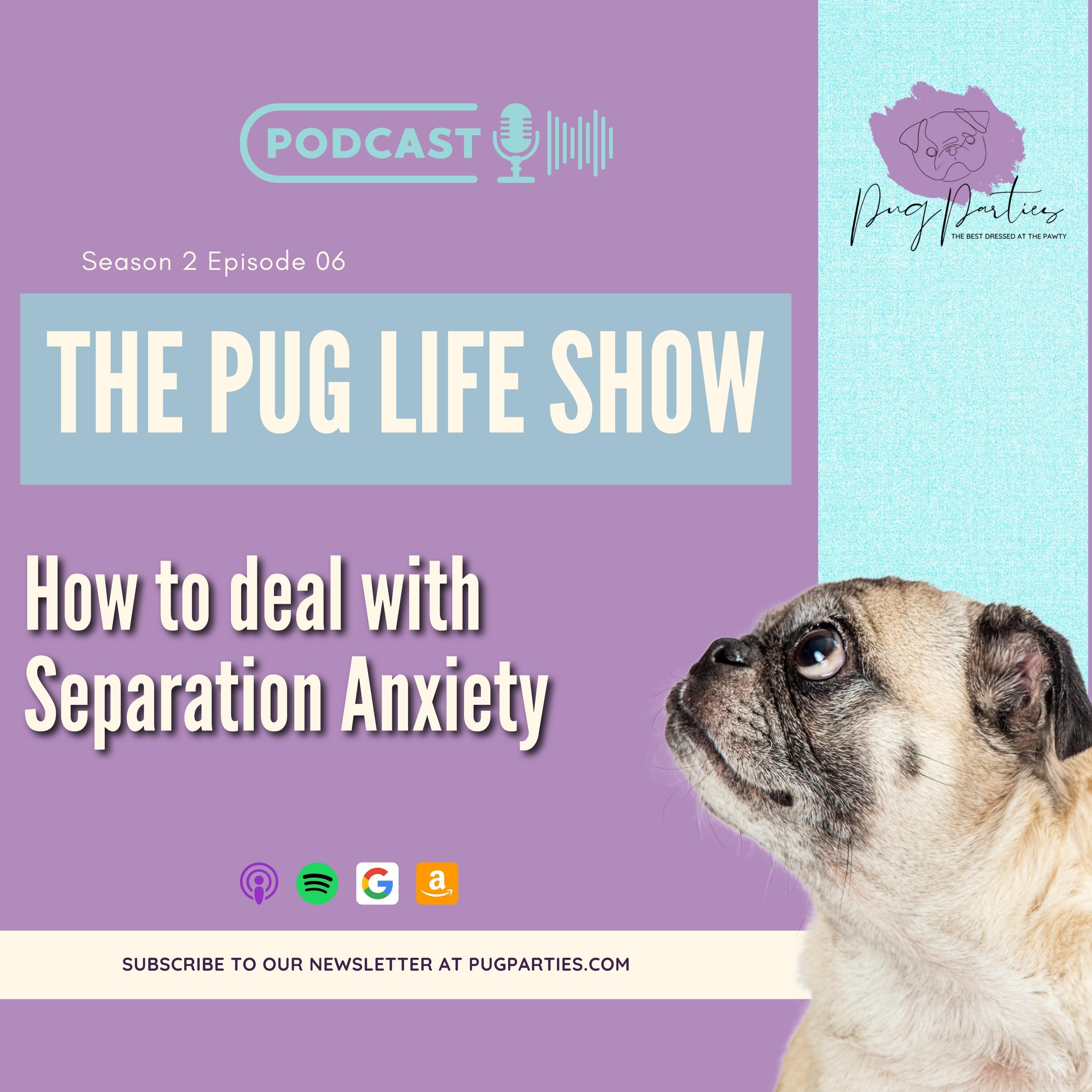 S2 EP06 – How to deal with separation anxiety