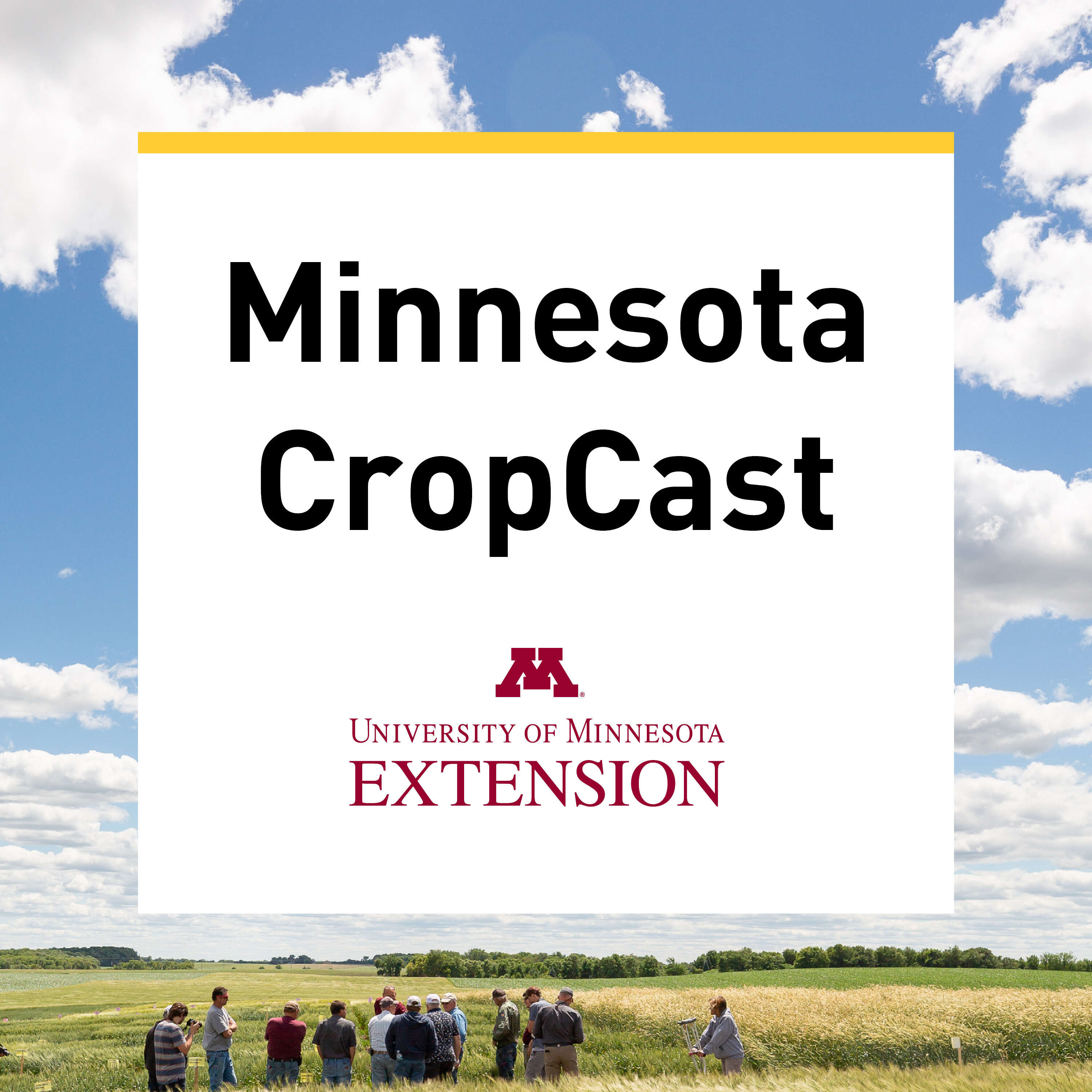 Water management for Minnesota producers:  A discussion with Vasudha Sharma Irrigation Specialist at the University of Minnesota