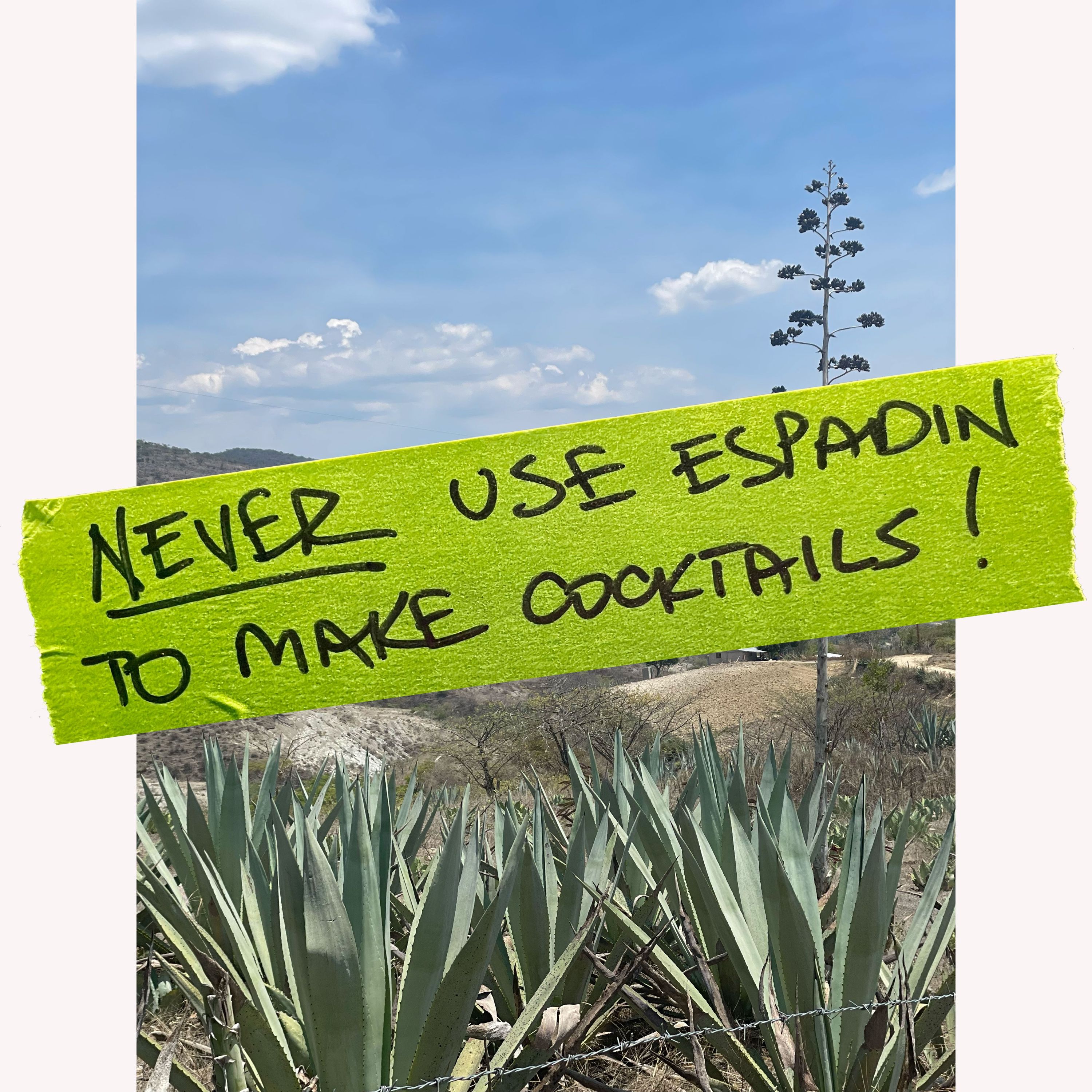 Never Use Espadin Mezcal to Make Cocktails