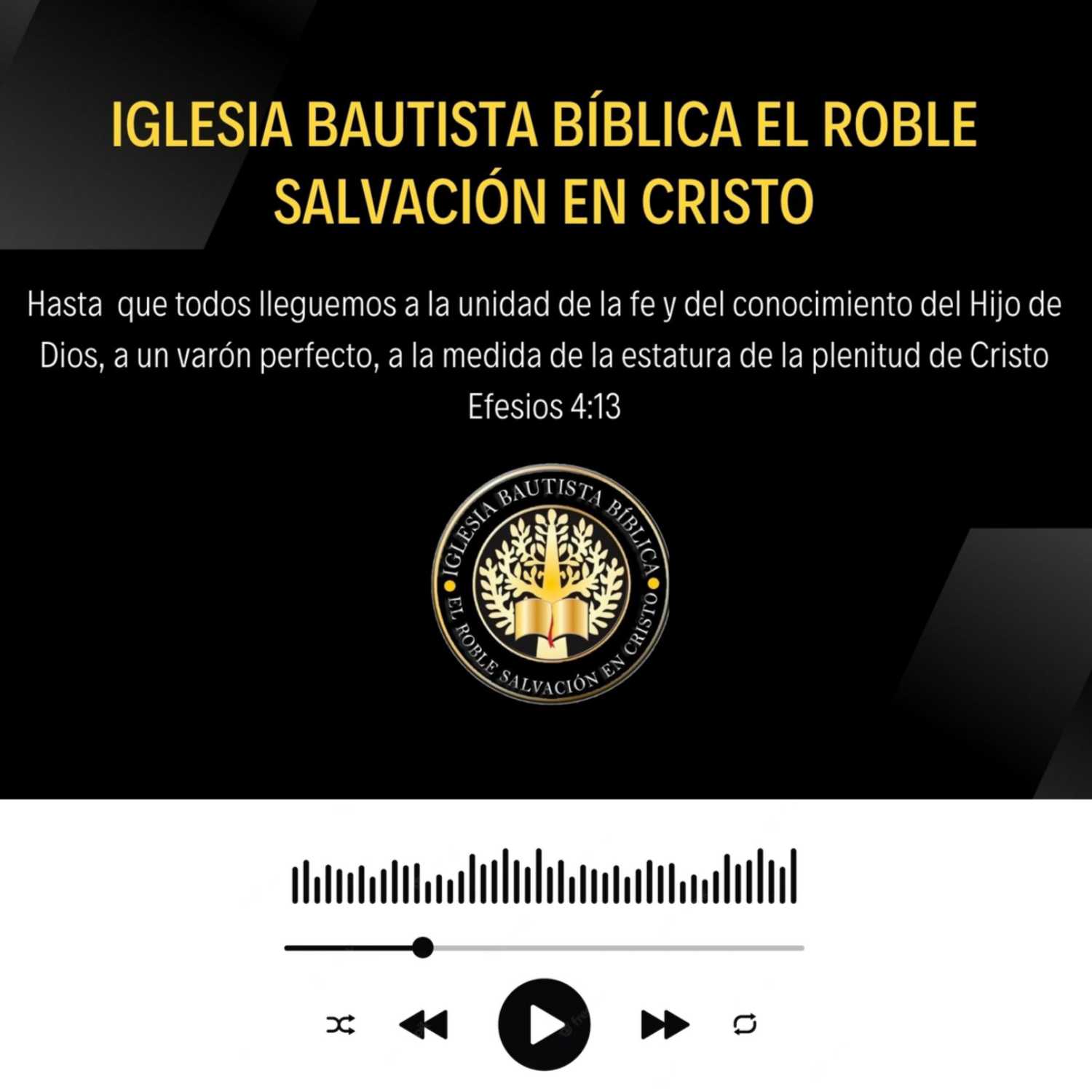 Animándonos en la Palabra de Dios