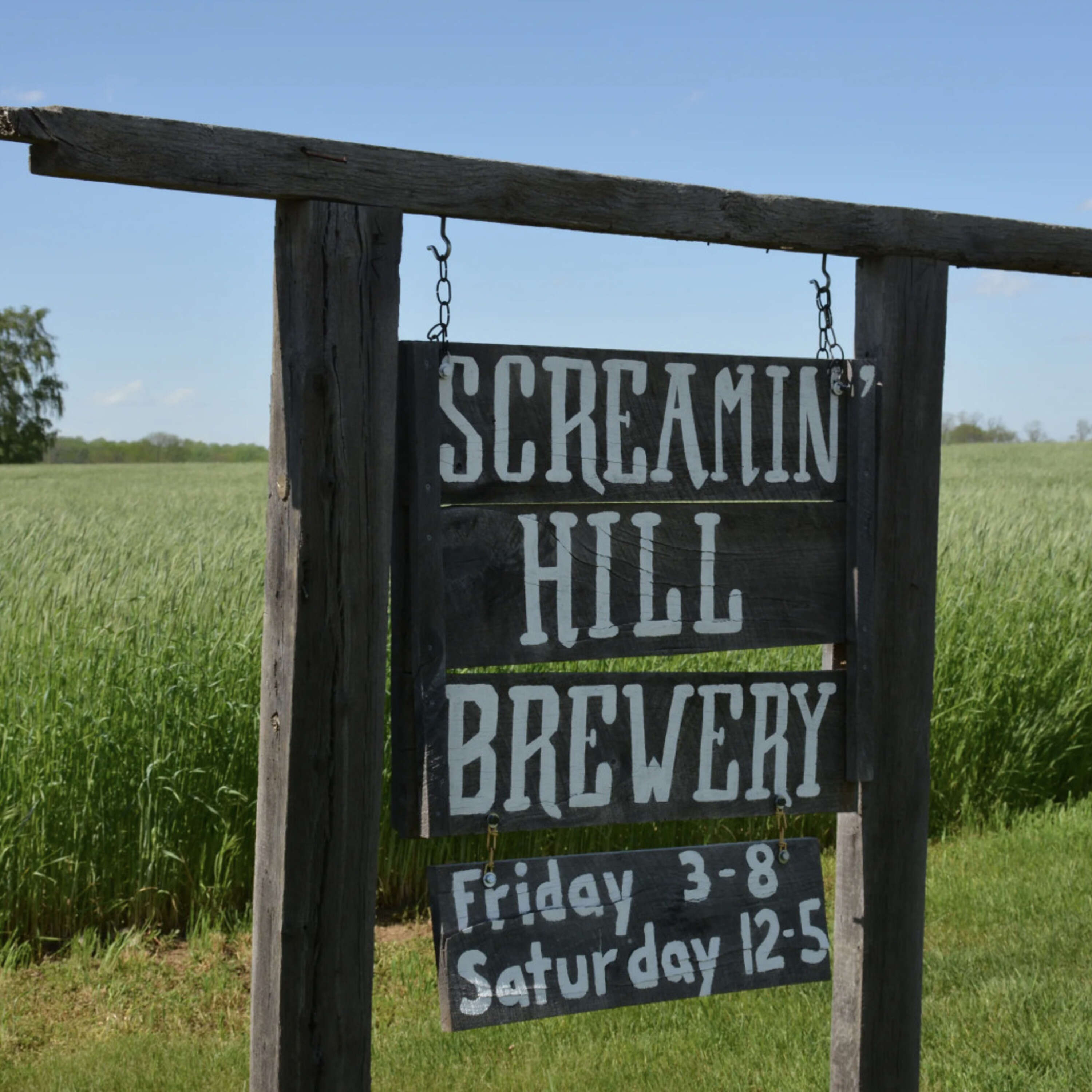 Episode 42 - Malt Insights for the Nano Brewer