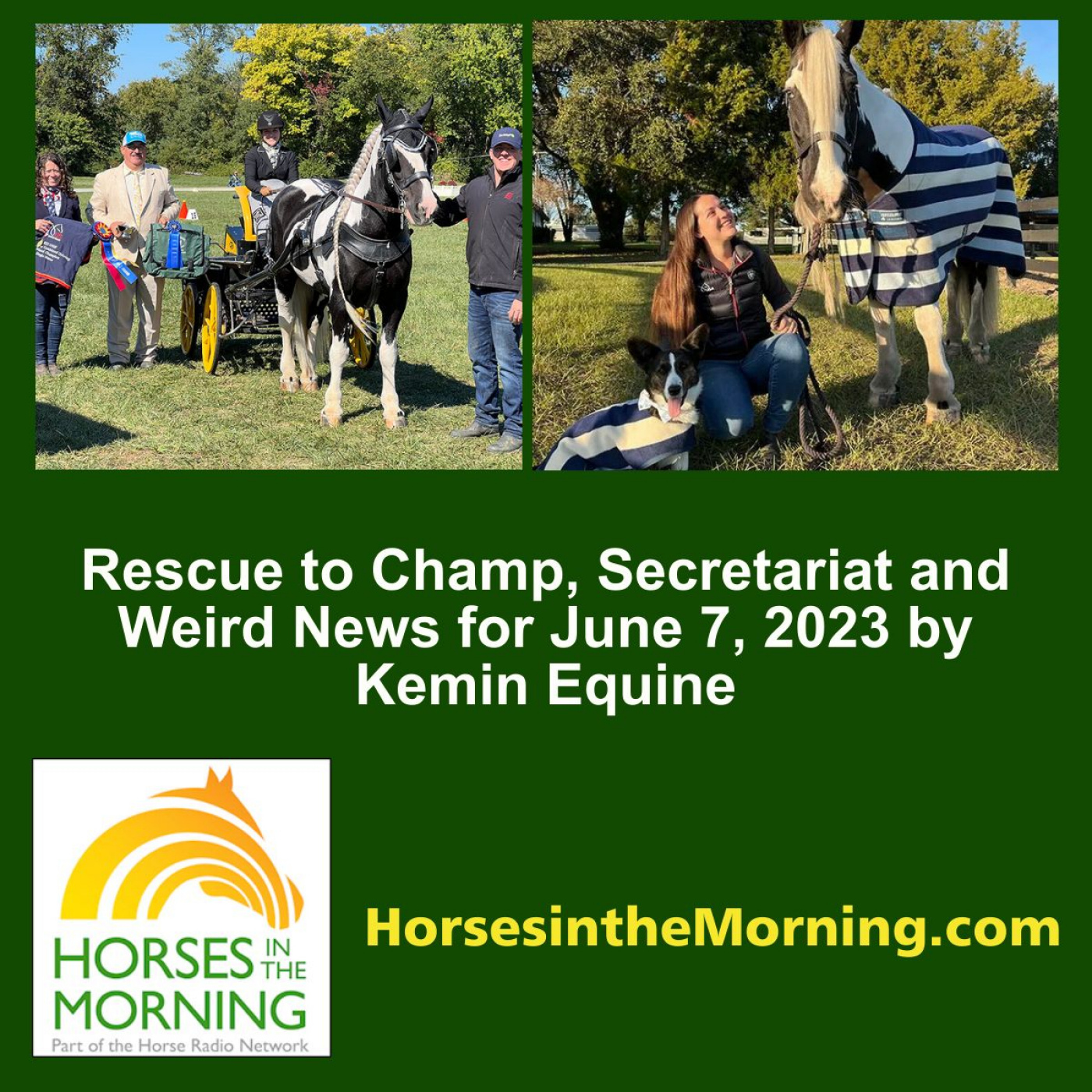 Rescue to Champ, Secretariat and Weird News for June 7, 2023 by Kemin Equine