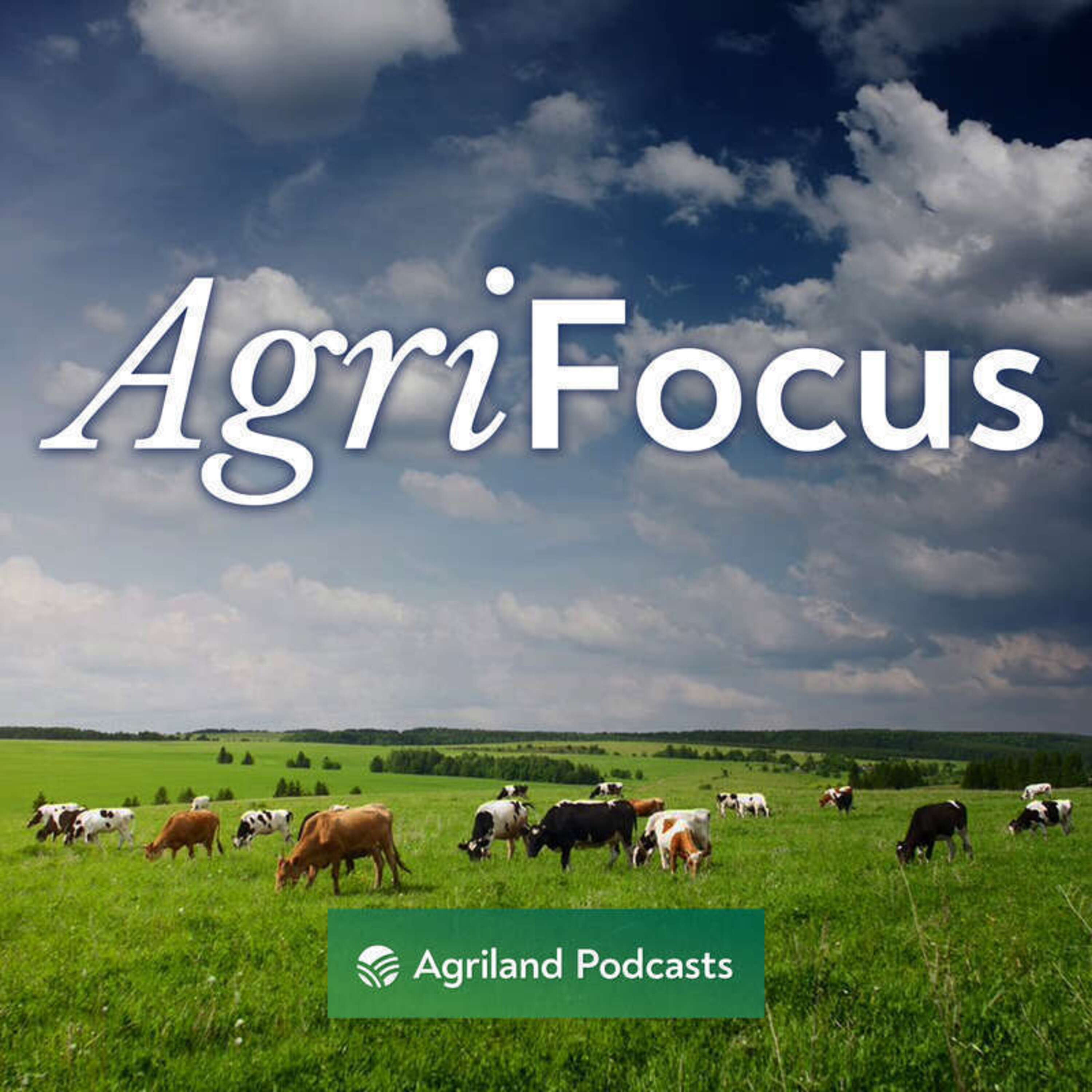 Agri-Focus: Machinery prices, labour shortages and career opportunities