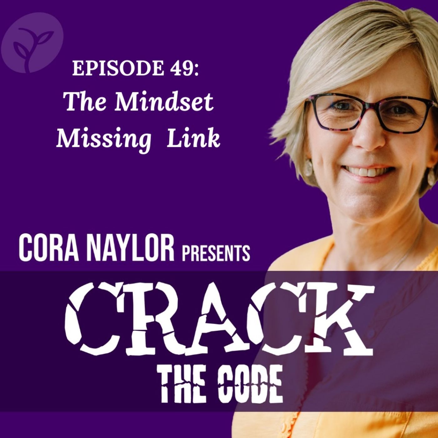 49. The Mindset Missing Link