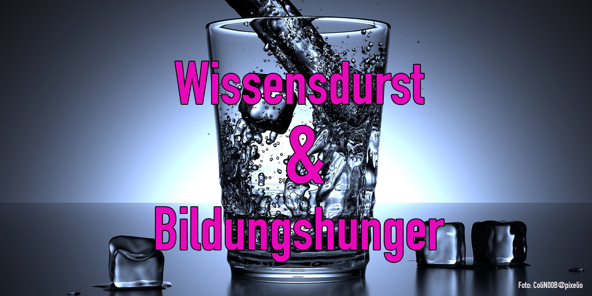 Teil 1: Wissensdurst & Bildungshunger