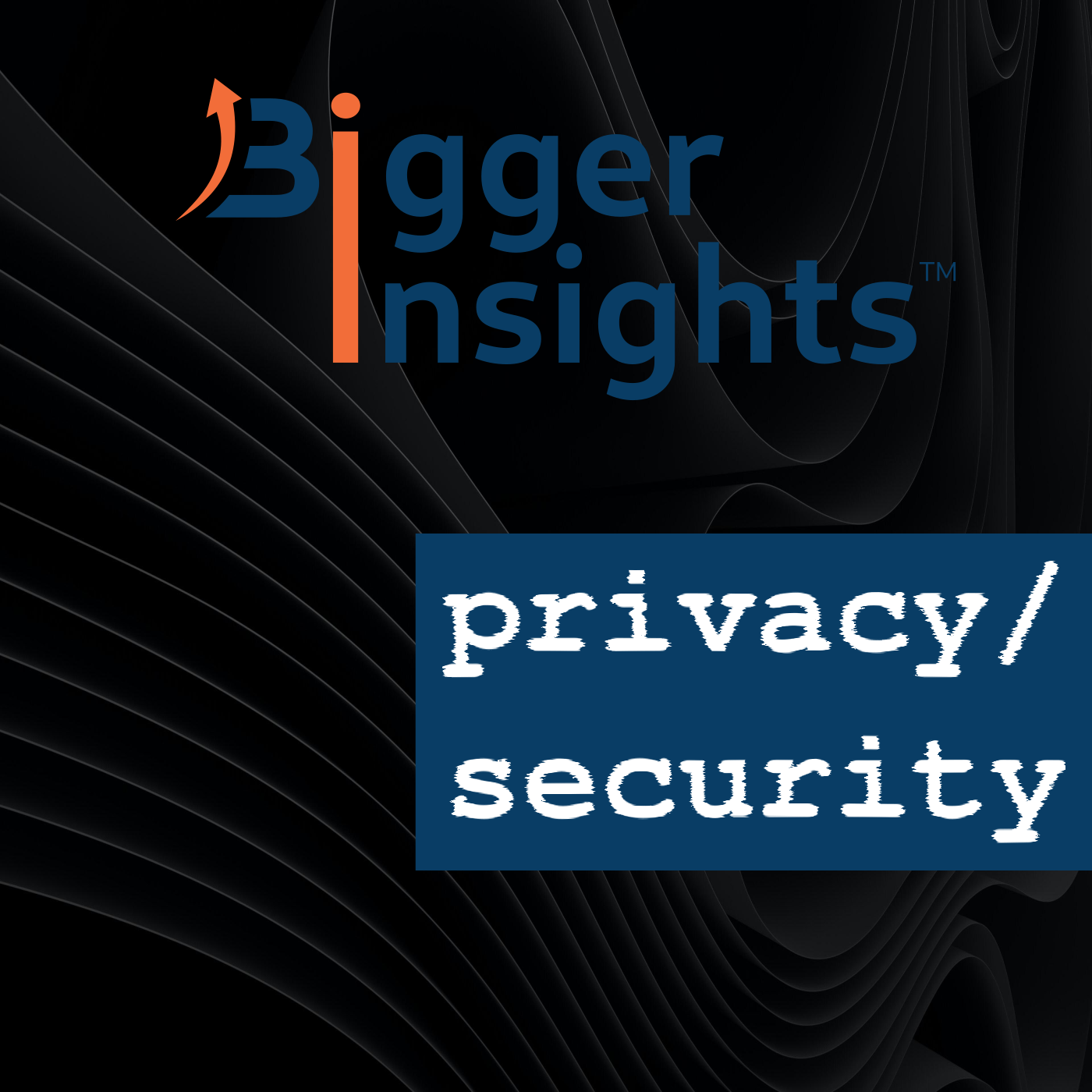 Bigger Insights Privacy & Security 