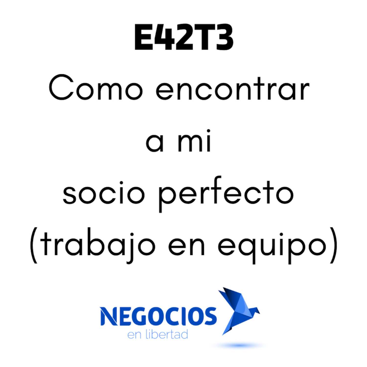 E42T3: Como encontrar a mi socio perfecto (trabajo en equipo)