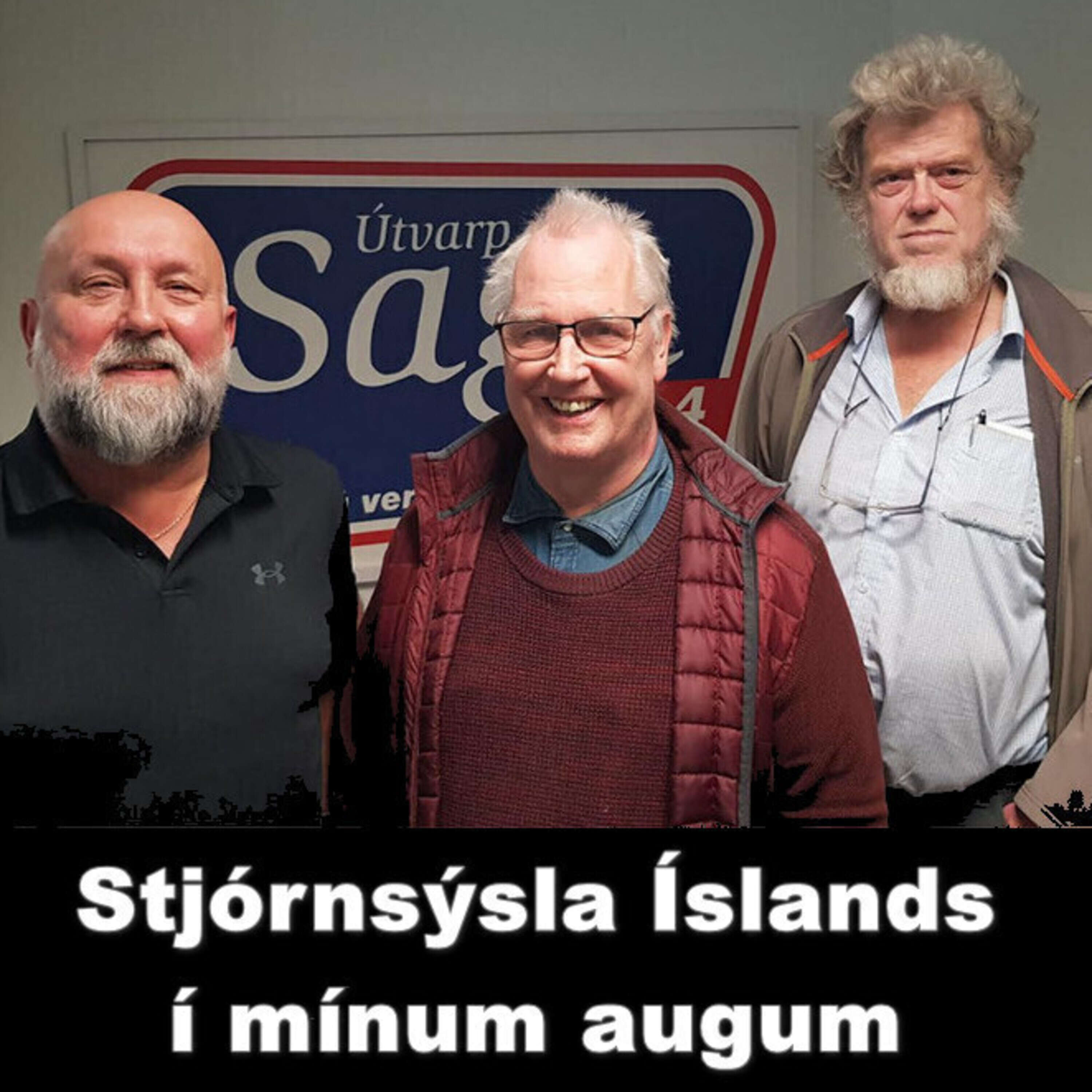 Stjórnsýsla Íslands í mínum augum 