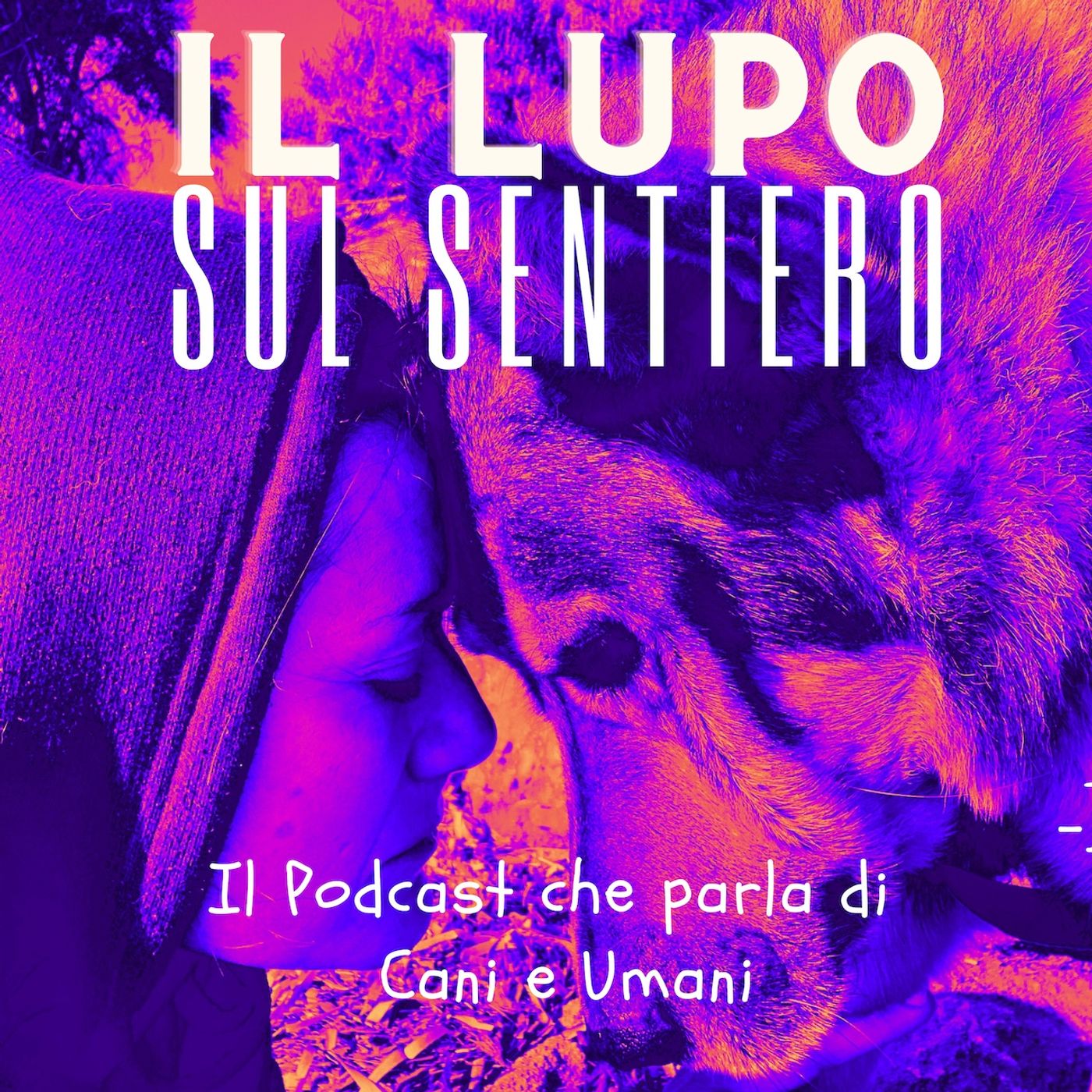 Il lupo sul sentiero 