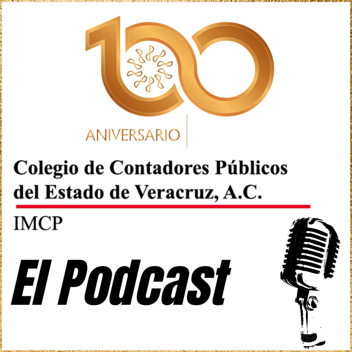 Ep. 51:Nuevos criterios imss: prácticas indebidas || Ramón Ortega Díaz 